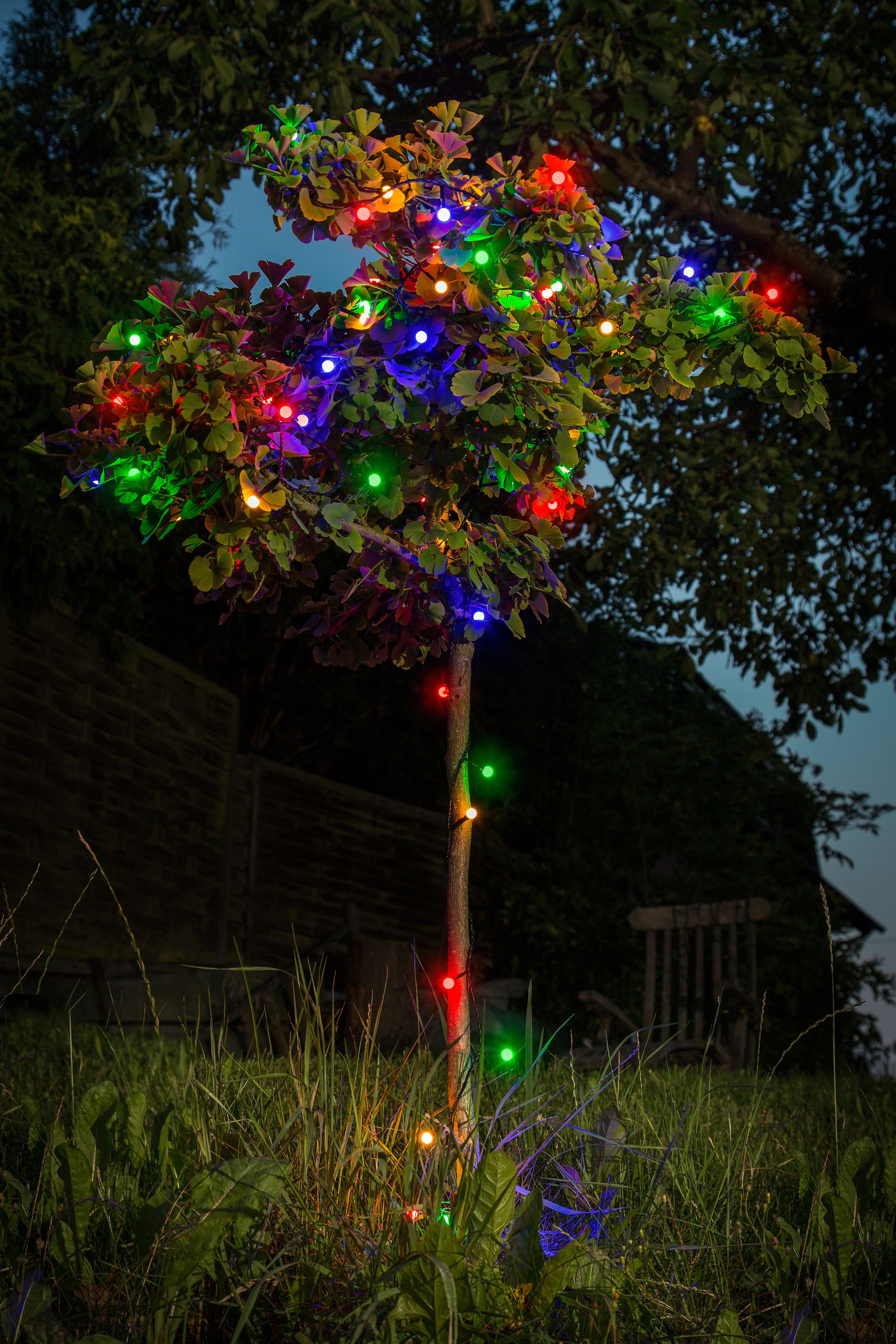 KONSTSMIDE LED-Lichterkette, Dioden 80 Stk. Flammen 80 Stk., Gesamtlänge 11,32m, schwarz, Lichterketten, LED Globelichterkette, runde Dioden, 80