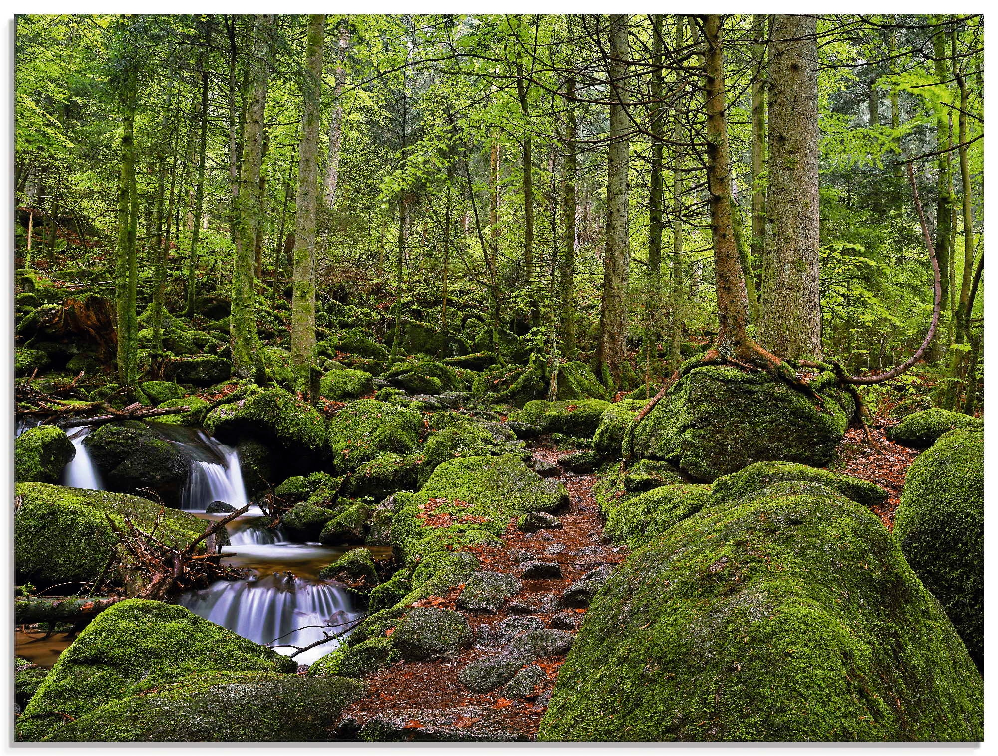 Black Friday Artland Glasbild »Zauberwald mit Bach«, Wald, (1 St.), in  verschiedenen Größen | BAUR