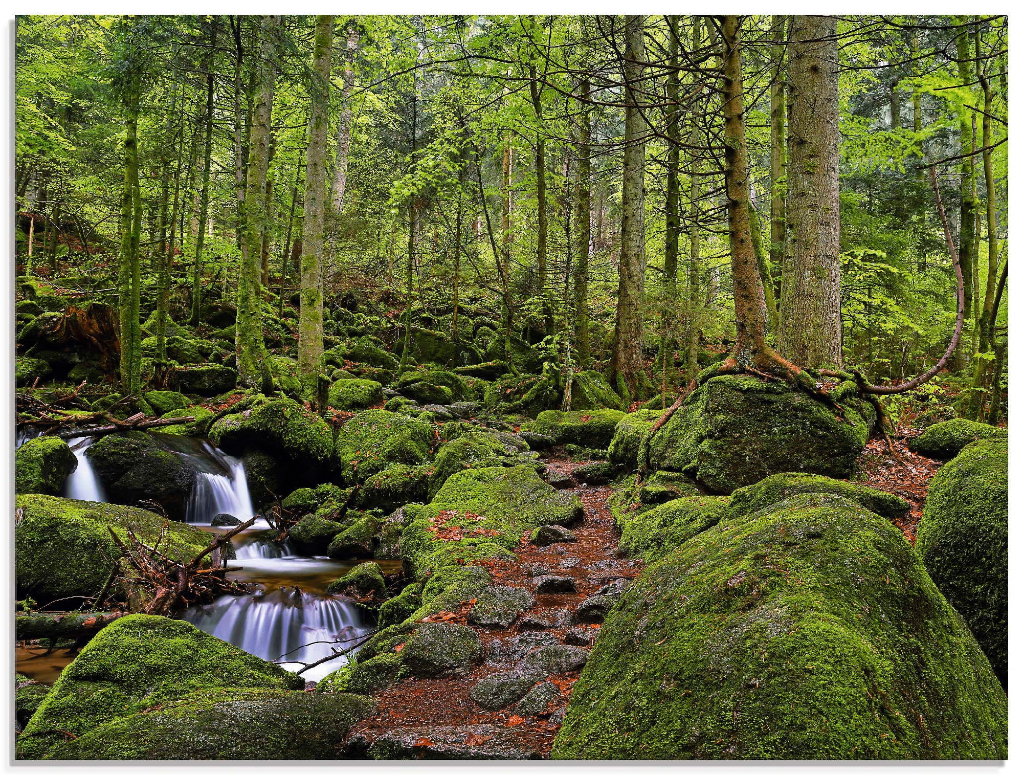 Artland Glasbild "Zauberwald mit Bach" Wald 1 Stk. tlg. in verschiedenen Gr günstig online kaufen