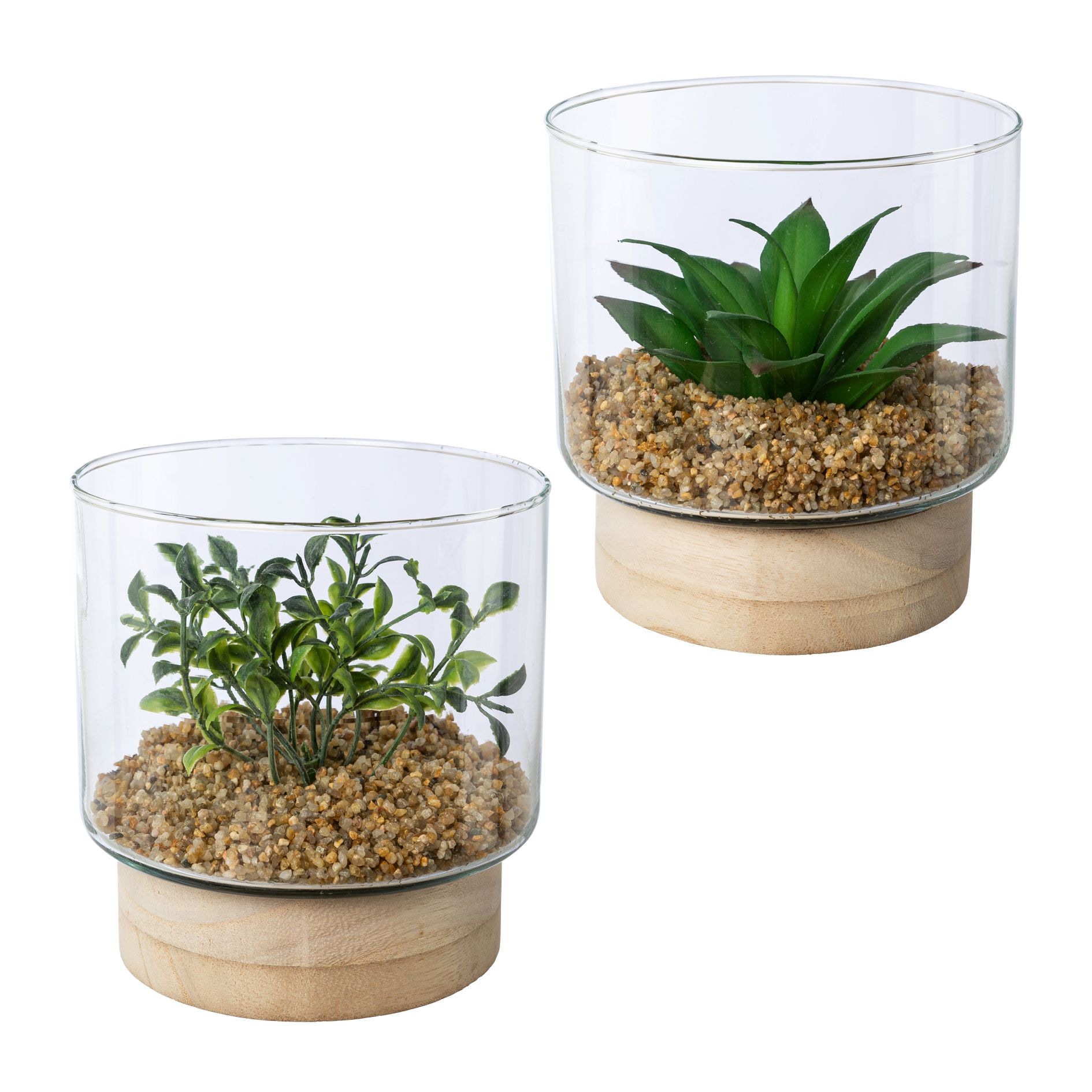 Creativ green Kunstpflanze "Sukkulenten im Glasgefäß" günstig online kaufen