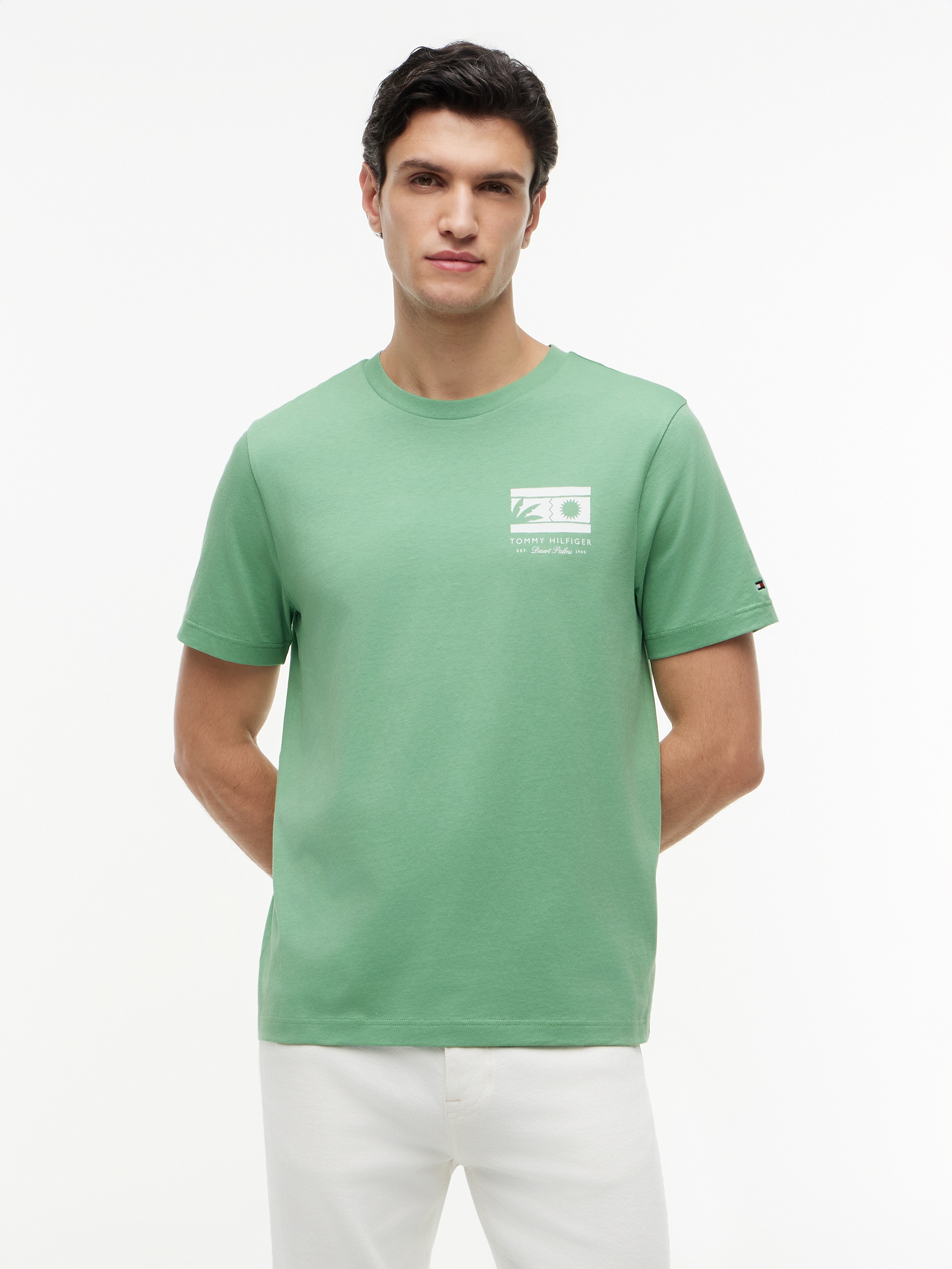 Tommy Hilfiger T-Shirt "MONO SUN GRAPHIC REGULAR TEE" aus Jersey mit Logo-Grafik