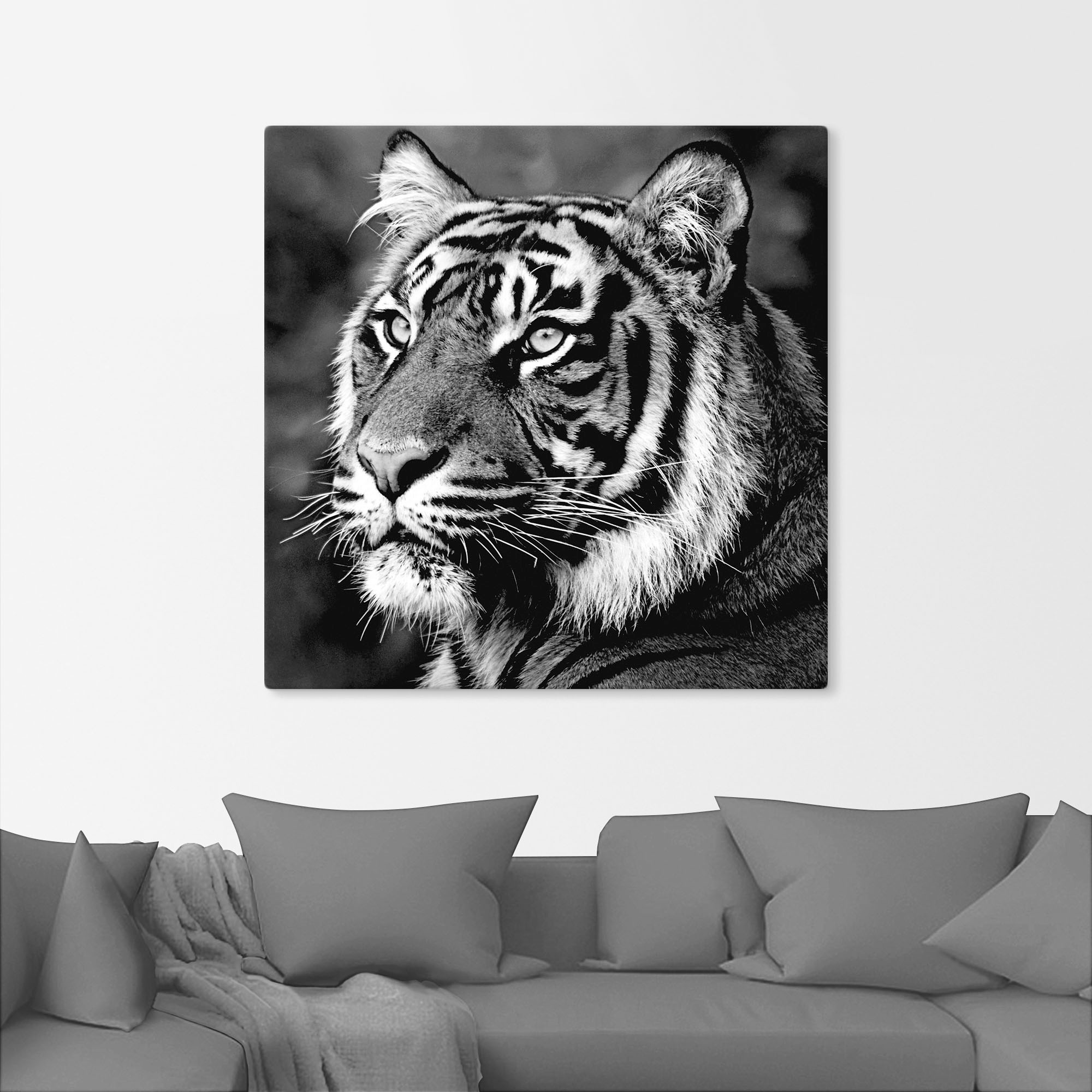 Artland Wandbild »Tiger«, Wildtiere, (1 St.), als Leinwandbild, Poster, Wandaufkleber in verschied. Größen