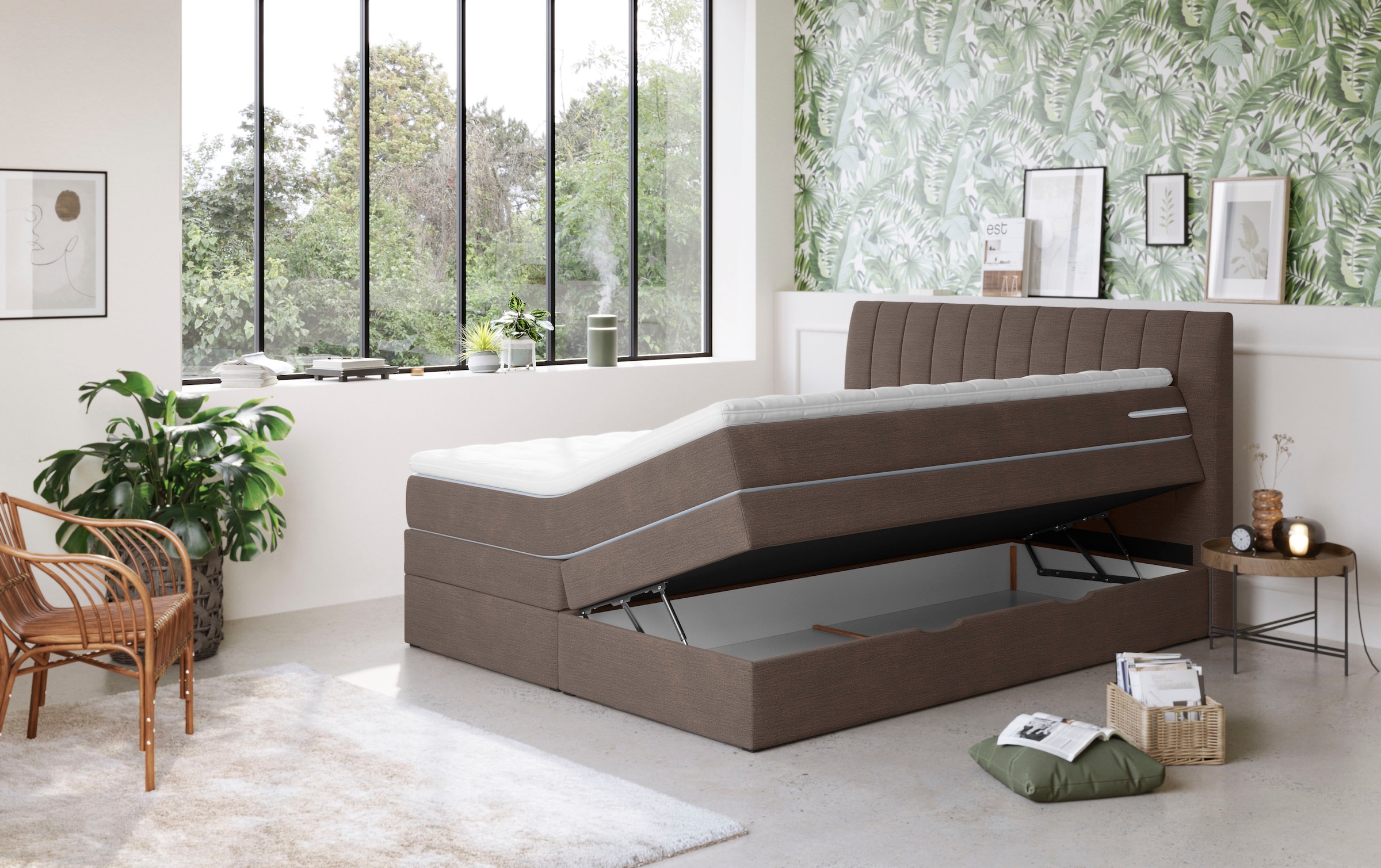 COTTA Boxspringbett »Shark inkl. Bettkasten und Topper«, erhältlich in den Breiten 140x200cm, 160x200cm und 180x200cm