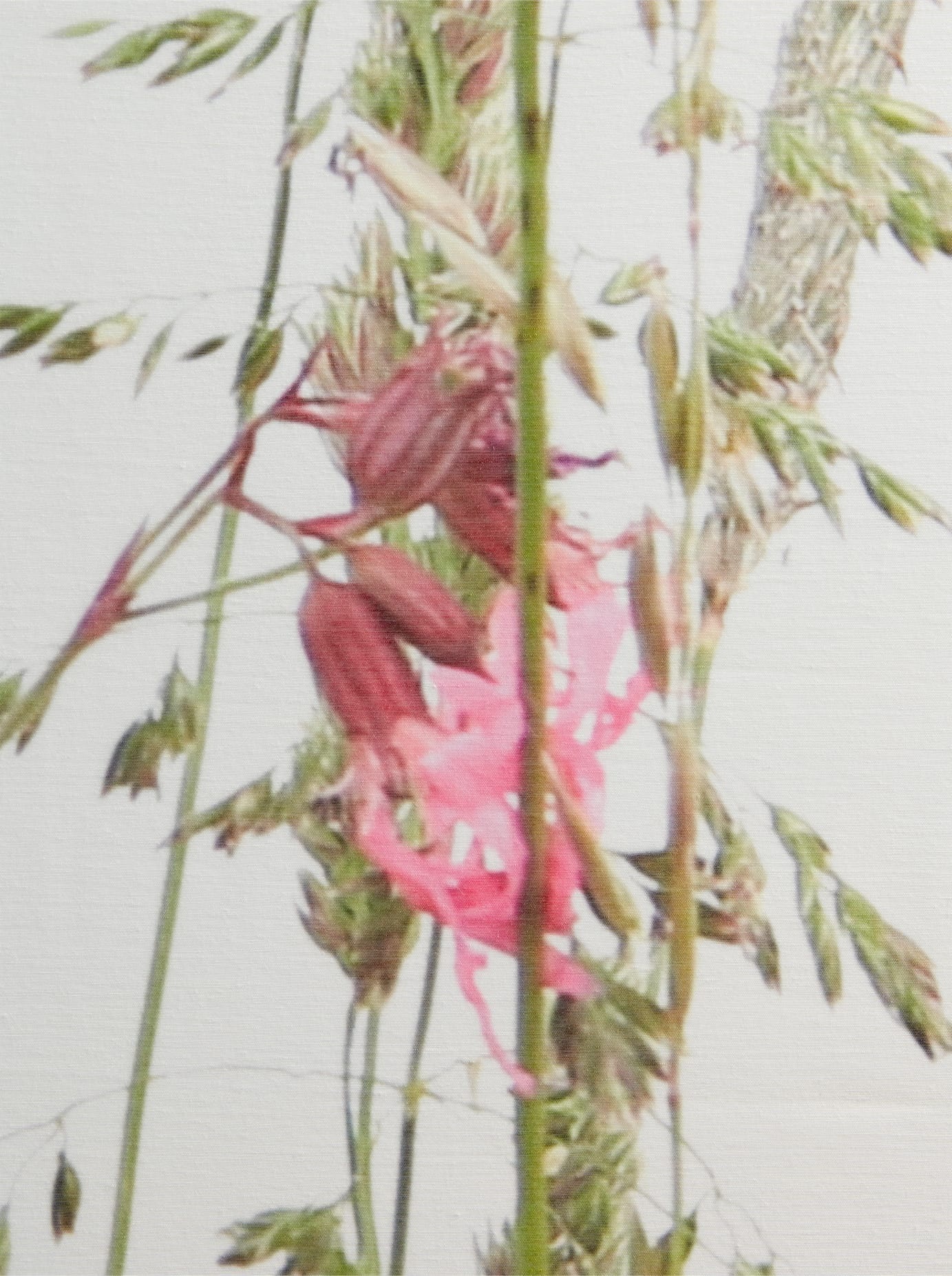 heine home Vorhang Schlaufen 1 Stk. tlg. günstig online kaufen