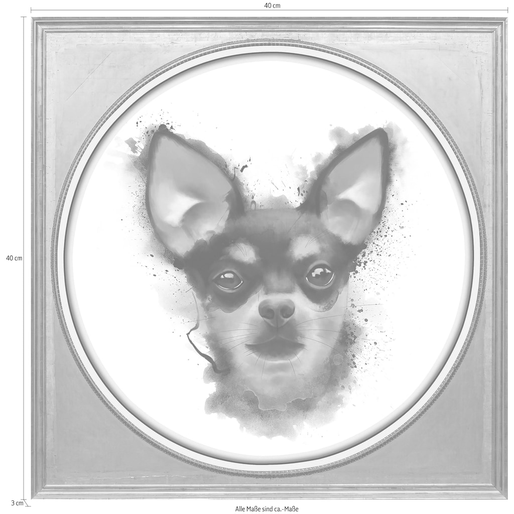 queence Acrylglasbild »Chihuahua«