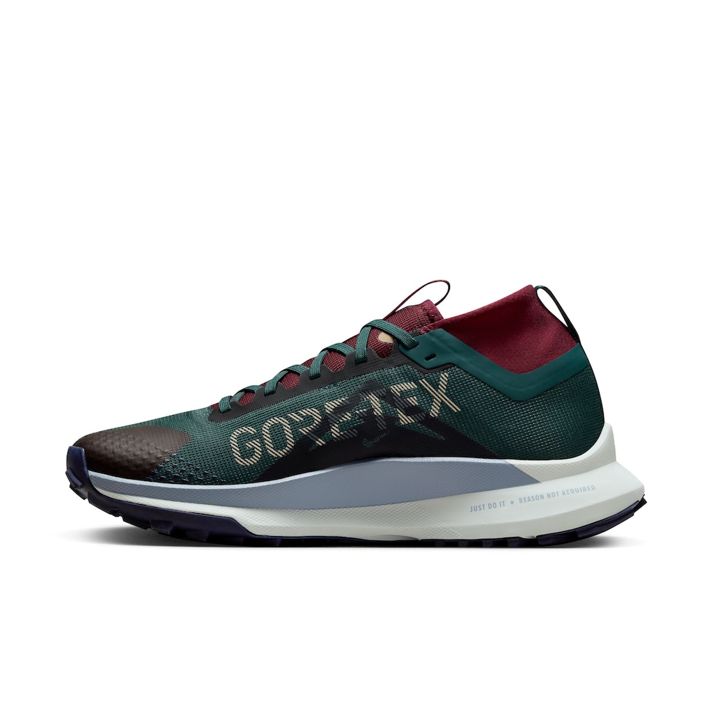 Nike Laufschuh »PEGASUS TRAIL 4 GORE-TEX WATERPROO«