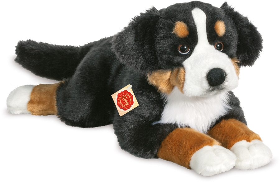 Teddy Hermann Kuscheltier Berner Sennenhund 60 Cm Baur