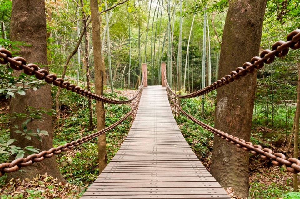 Papermoon Fototapete "Suspension Bridge"