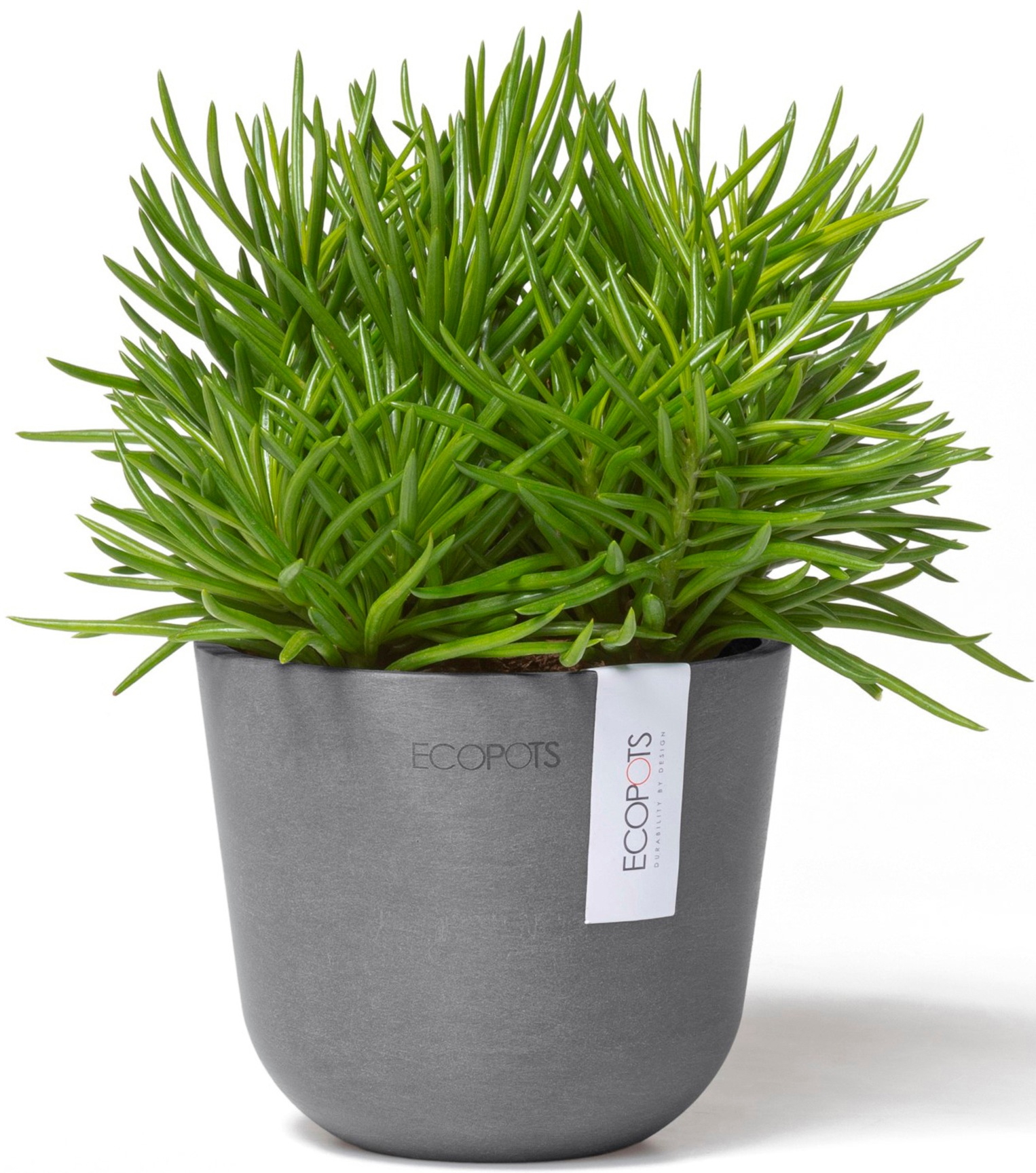ECOPOTS Blumentopf »Oslo Mini 11,5 Grau«, für den Innenbereich