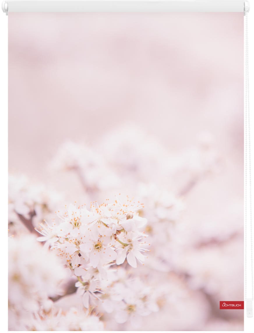 Seitenzugrollo | Kirschblüten freihängend BAUR Klemmfix, Weiß«, bestellen Verdunkelung-energiesparend, »Rollo Verdunkelung, LICHTBLICK ORIGINAL Bohren, Rosa - verdunkelnd, ohne