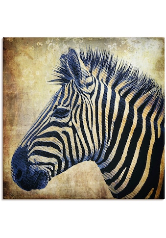 Artland Paveikslas »Zebra Porträt PopArt« Wild...