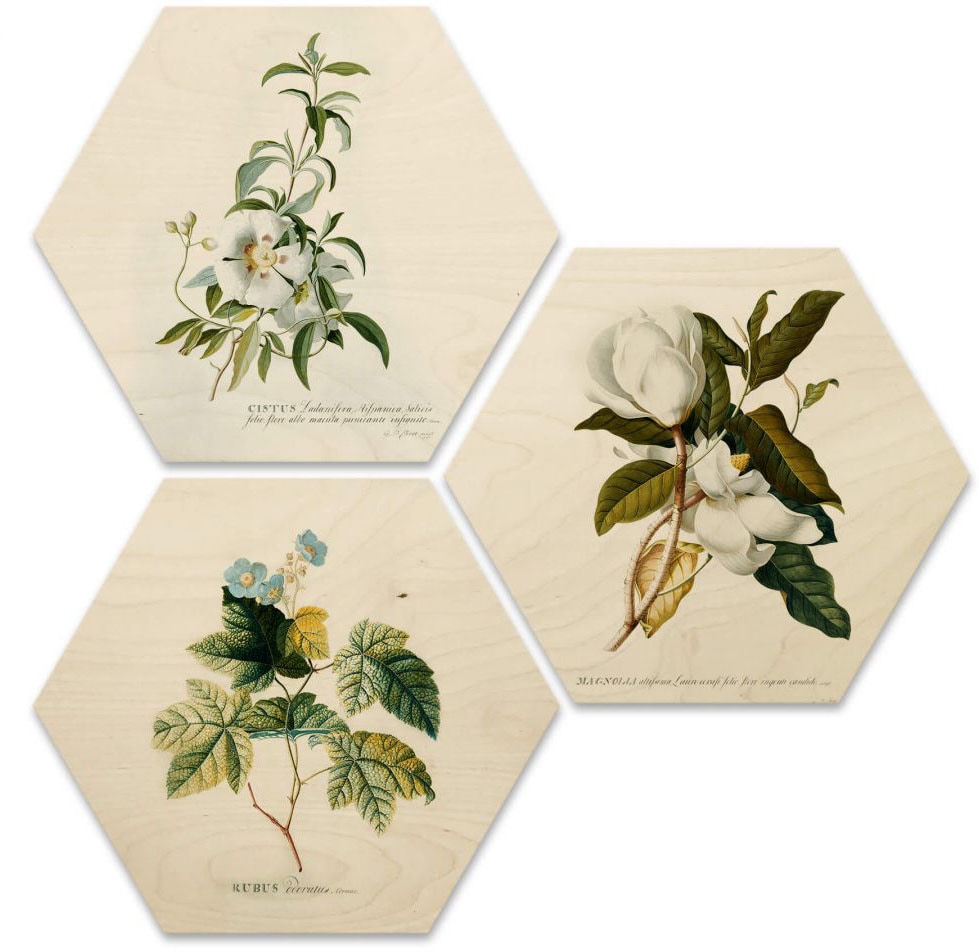 Wall-Art Mehrteilige Bilder »Botanische Collage Blumen Floral«, Grundriss, (Set, 3 St.), Holzposter modern