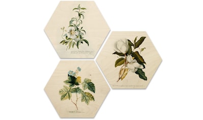 Mehrteilige Bilder »Botanische Collage Blumen Floral«, Grundriss, (Set, 3 St.)