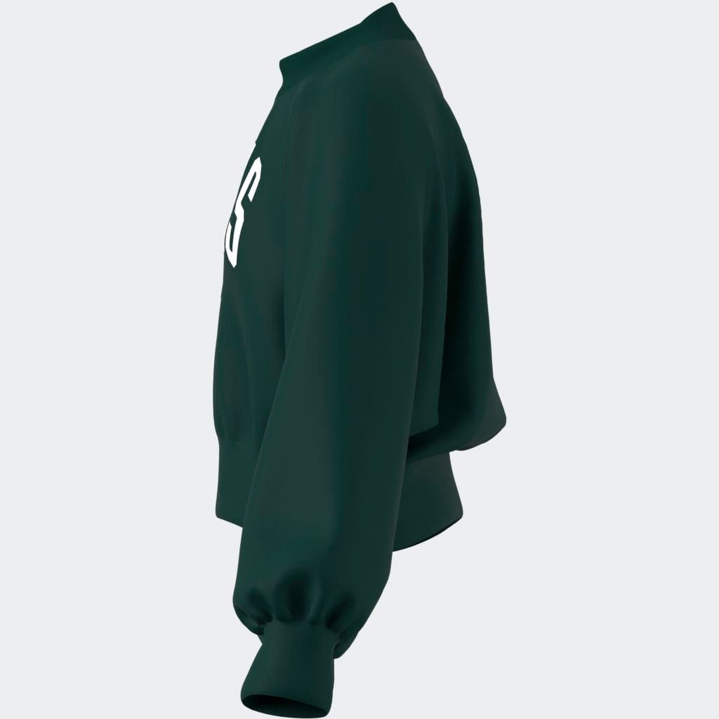 adidas Sportswear Sweatshirt »JG CLGT FT SWT«