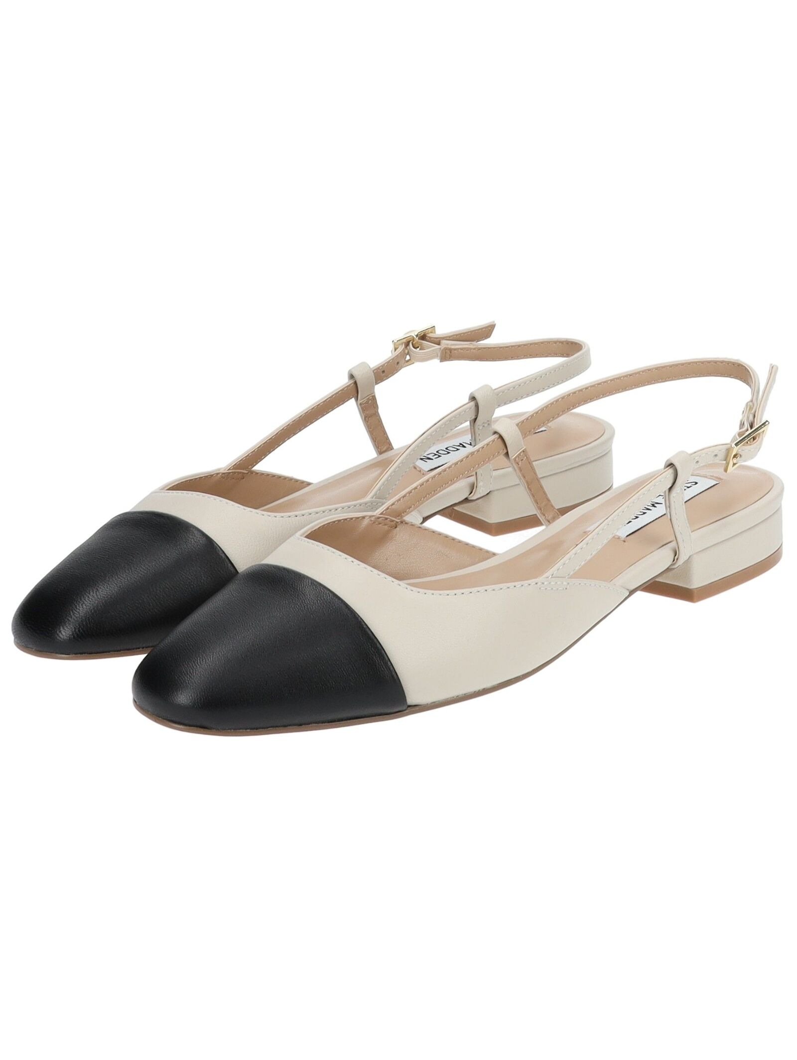 STEVE MADDEN Ballerina »STEVE MADDEN Ballerinas Leder«
