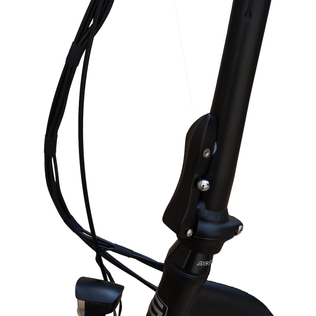SAXXX E-Bike »Foldi Plus«, 3 Gang, Shimano, Nexus, Frontmotor 250 W
