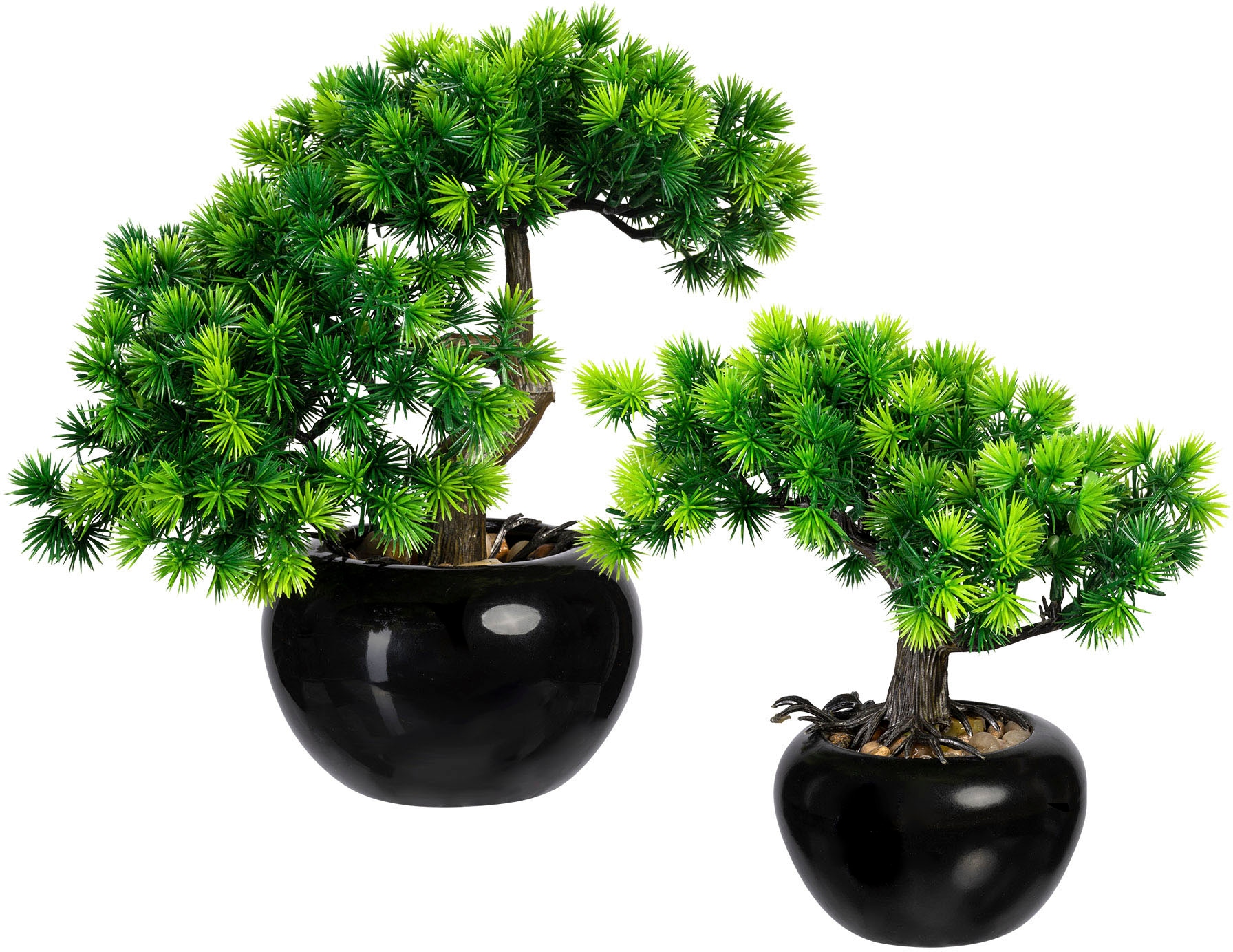 Kunstbonsai »Bonsai Lärche«, im Keramiktopf, 2er Set