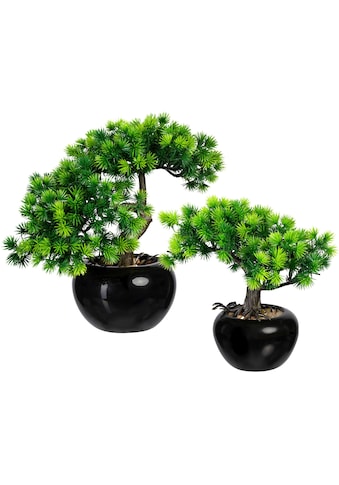 Kunstbonsai »Bonsai Lärche«, im Keramiktopf, 2er Set