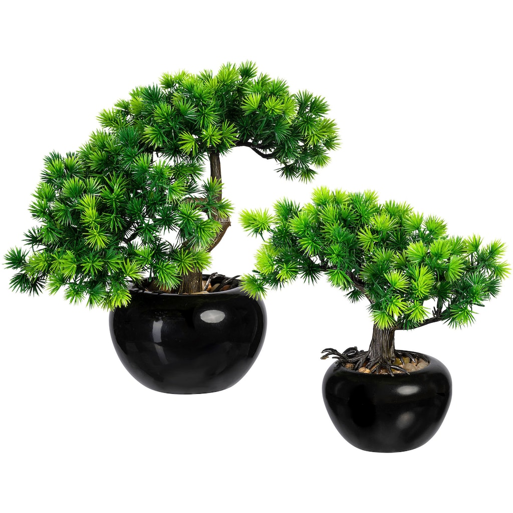 Creativ green Kunstbonsai »Bonsai Lärche«, im Keramiktopf, 2er Set