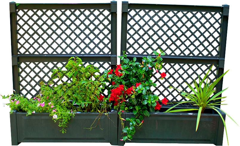 KHW Spalier 2er-Set Pflanzkasten groß 100 cm mit Zentralspalier günstig online kaufen
