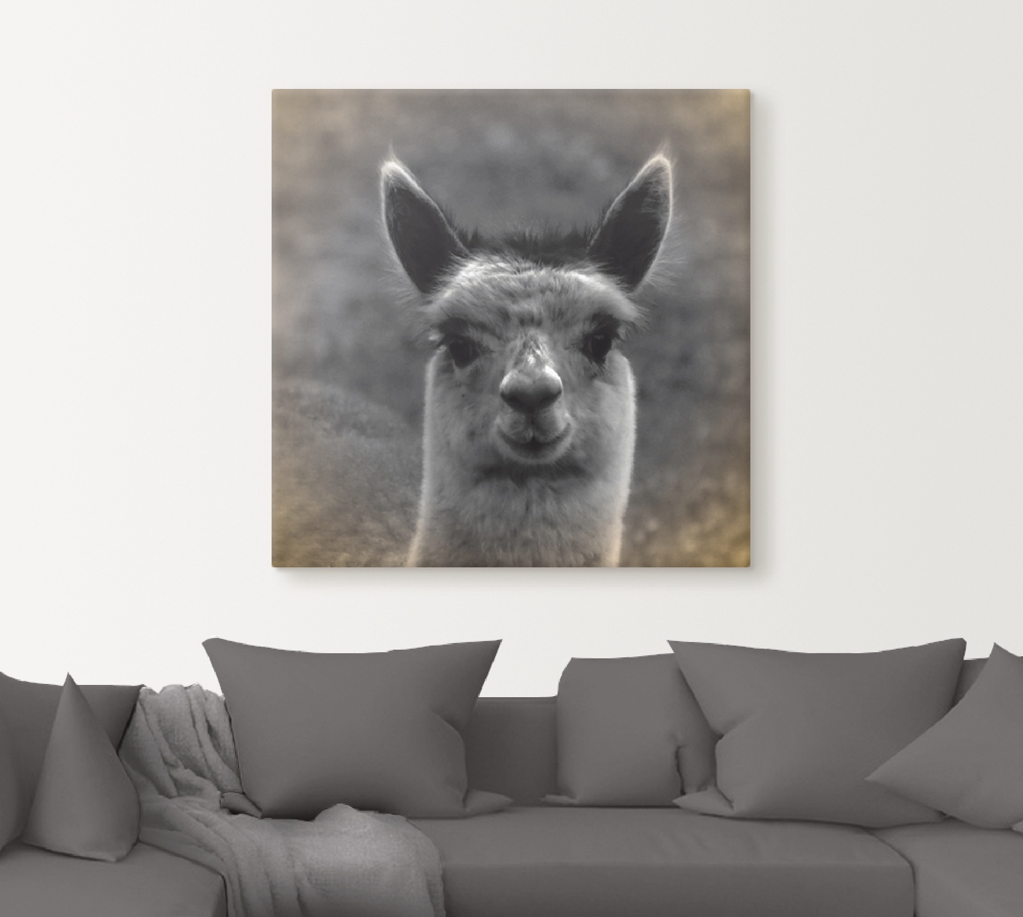 Artland Wandbild »Alpaka Blick«, Wildtiere, (1 St.), als Alubild, Outdoorbild, Leinwandbild, Poster in verschied. Größen