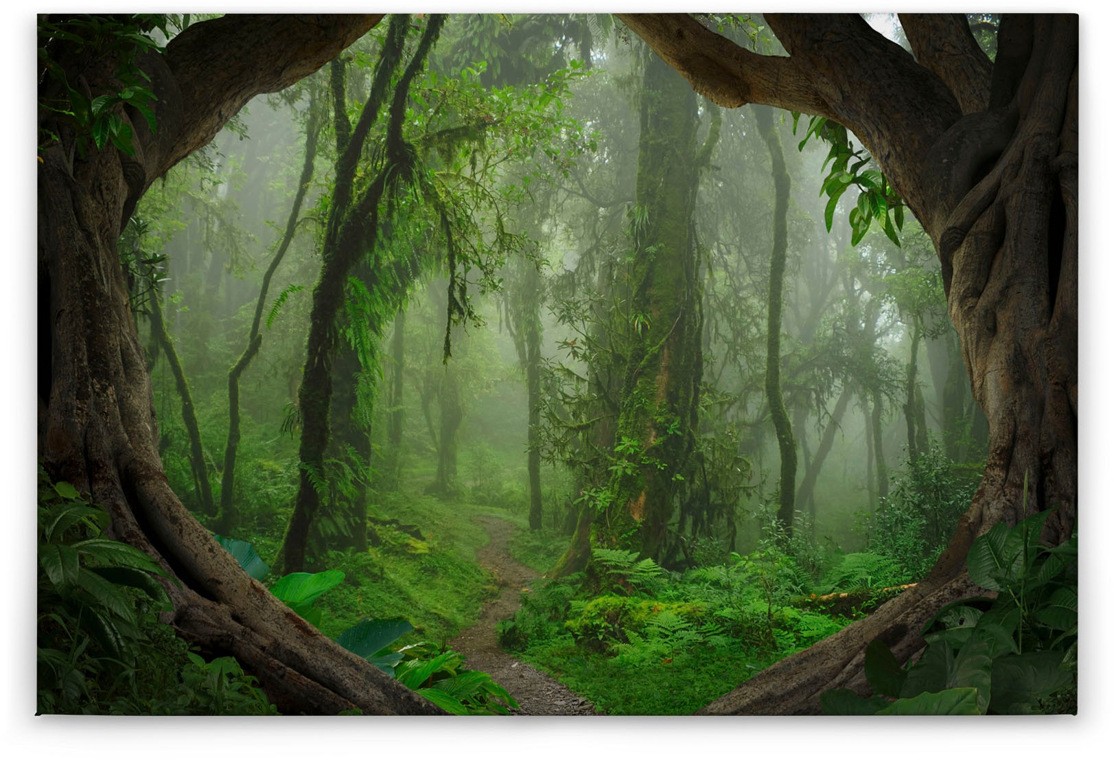 A.S. Création Leinwandbild »Tropical Forest«, Kunst-Gemälde-Kinder, (1 St.), Tropischer Wald Keilrahmen Natur Leinwand-Bild Wohnzimmer modern Wand