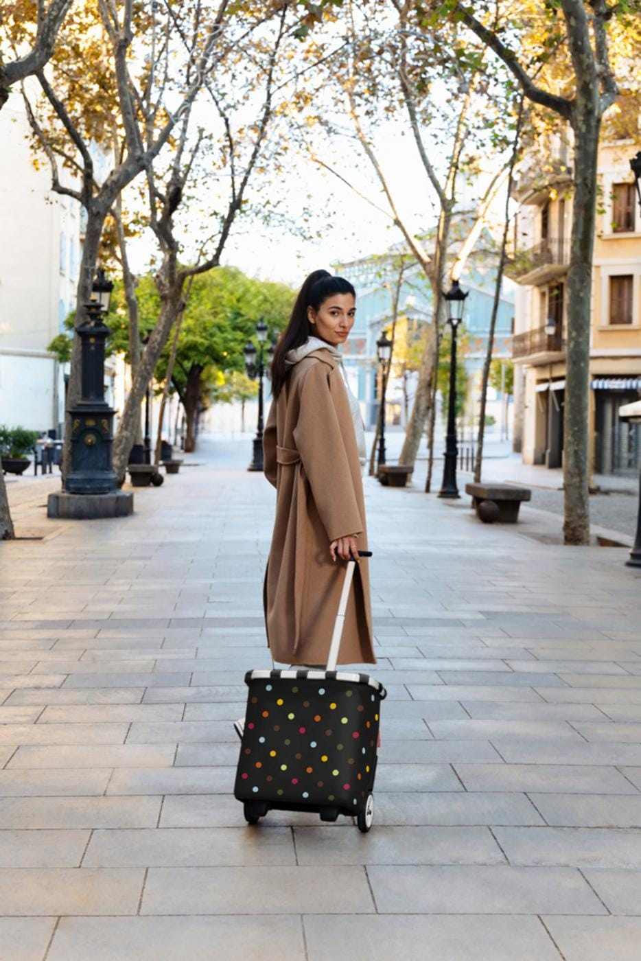 REISENTHEL® Einkaufstrolley »carrycruiser« kugelgelagerte Räder, herausnehmbare Innentasche, Teleskopgriff