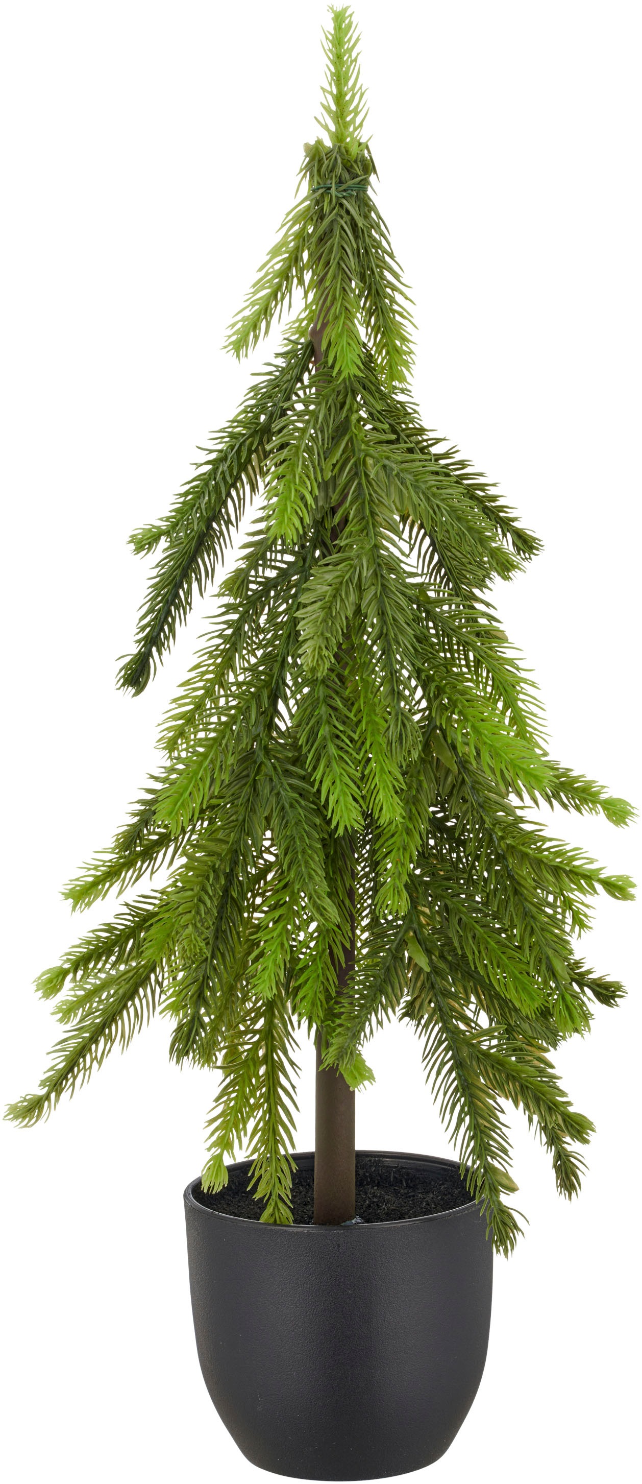 Creativ green Winterliche Kunstpflanze "Tannenbäumchen" günstig online kaufen