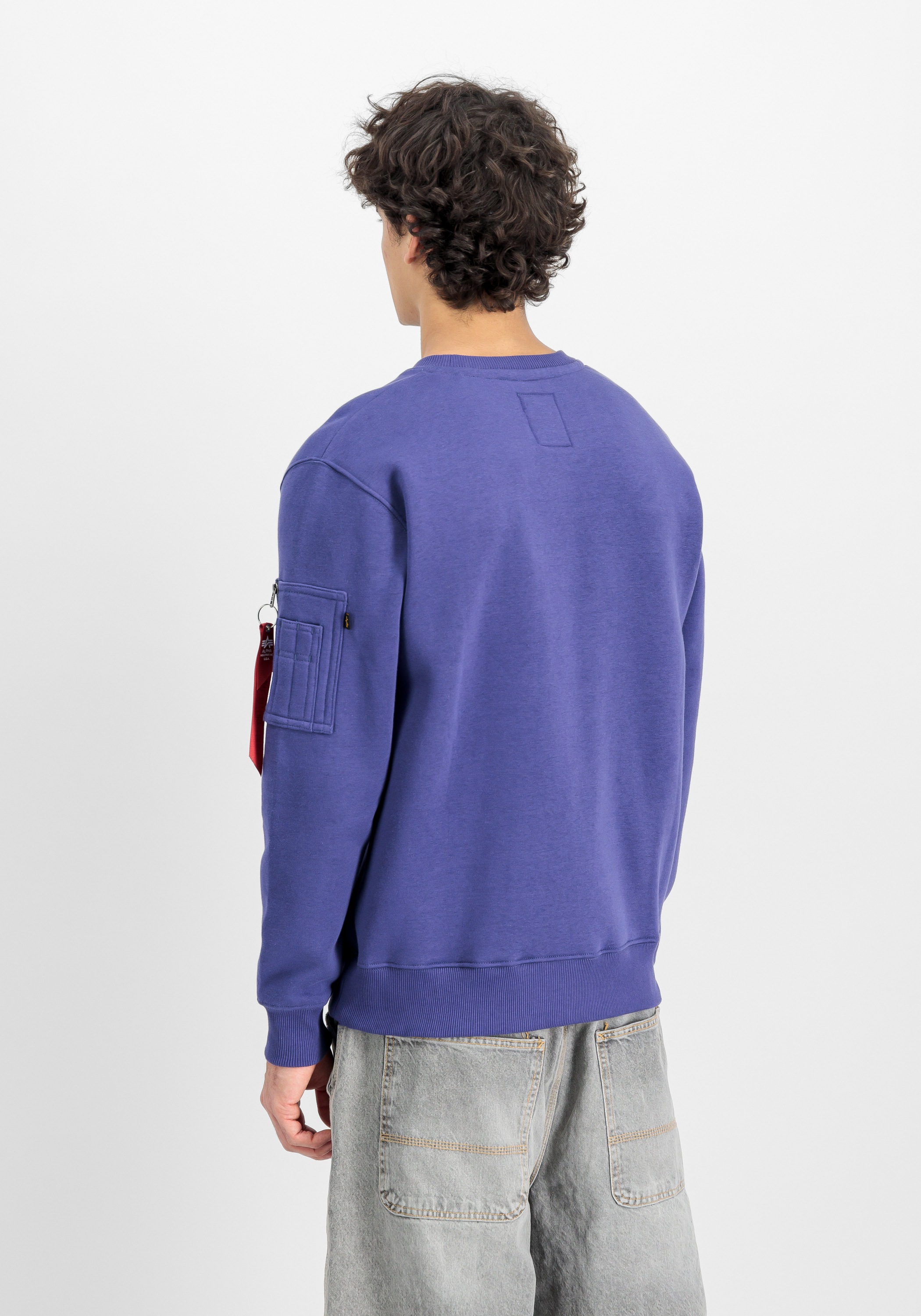 Alpha Industries Sweater »Alpha Industries Men - Sweatshirts Alpha Refl. Print Sweater«