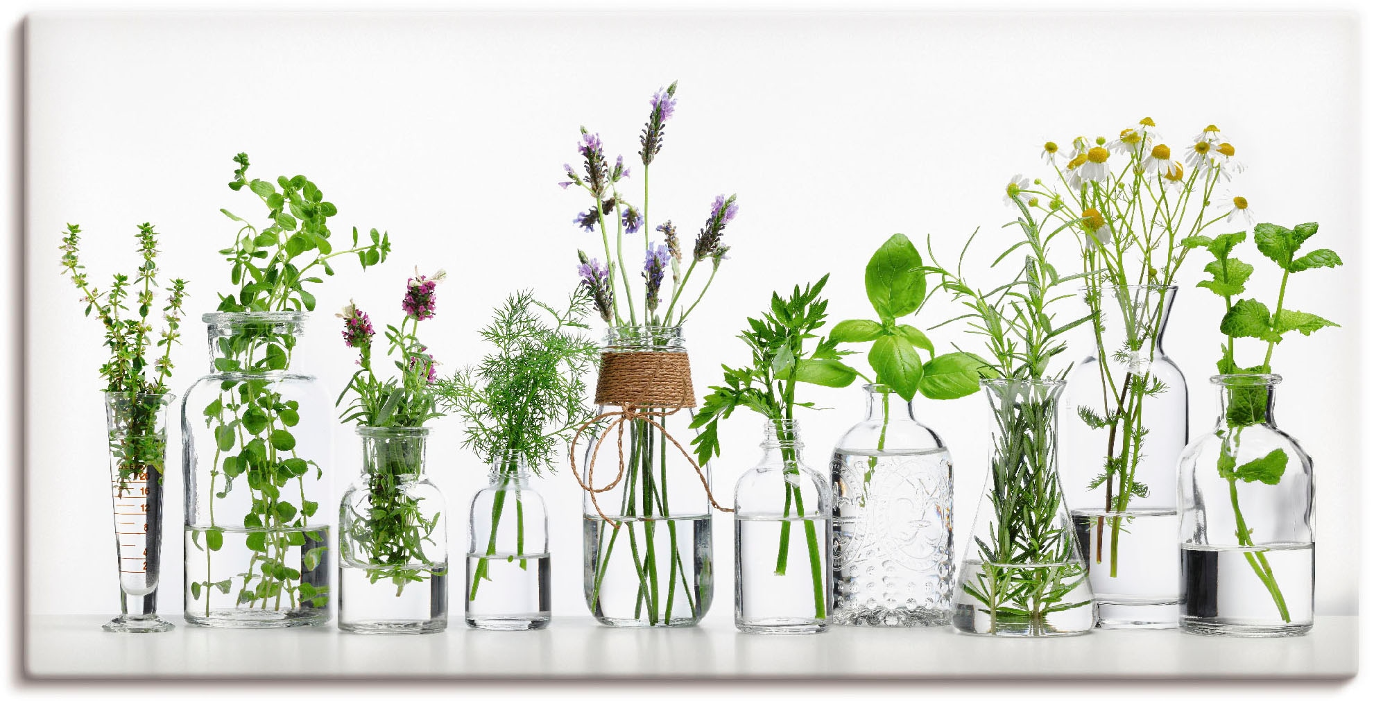 Artland Wandbild "Öle mit Kräutern" Kräuterbilder 1 Stk. tlg. als Alubild, günstig online kaufen