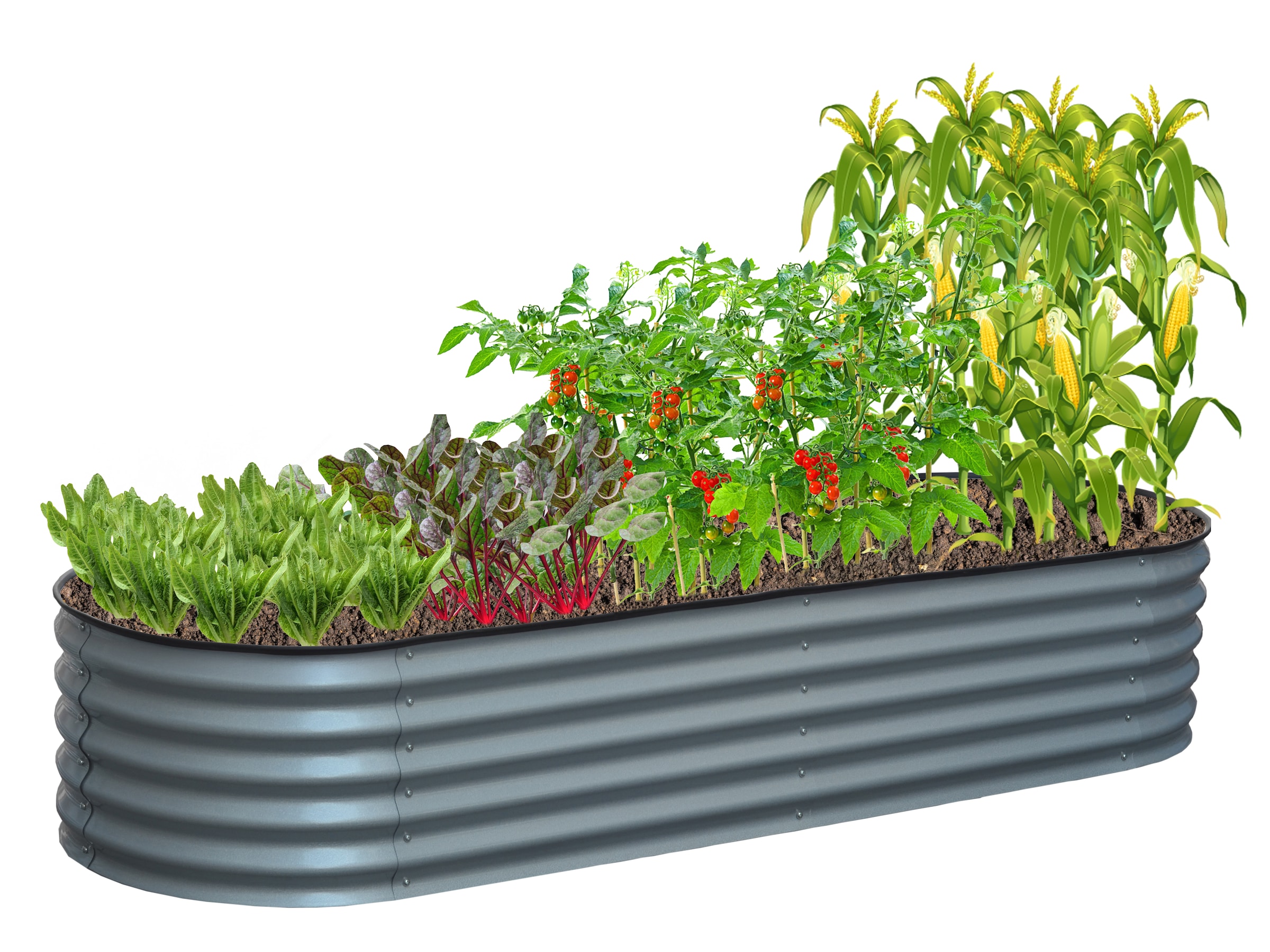 KONIFERA Hochbeet ""Flower" aus verzinktem Stahl" günstig online kaufen