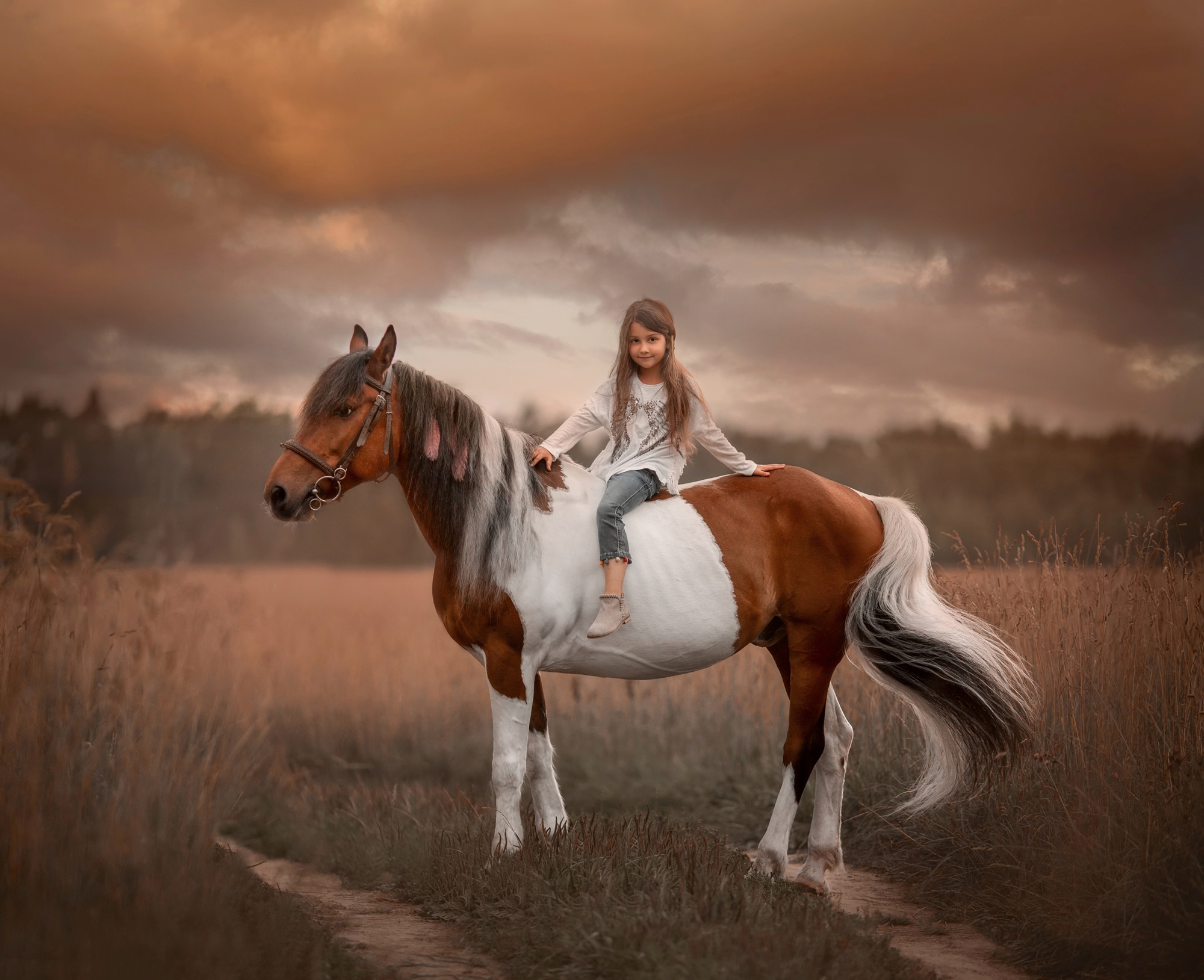 Papermoon "PINTO PONY-PFERD MÄDCHEN SCHECKE TIER MINI INDIAN"