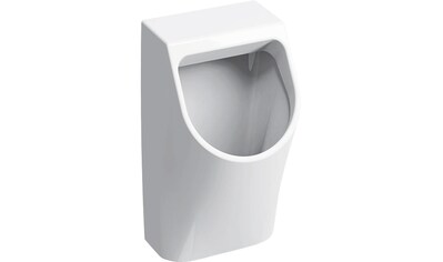 GEBERIT Urinal »Renova Plan«, Zu- und Ablauf nach hinten kaufen