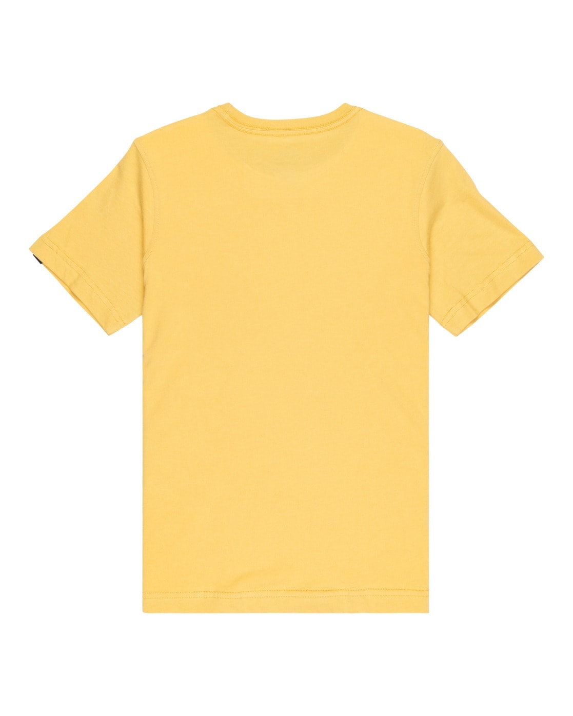 Quiksilver T-Shirt »Ev Stay Palm«