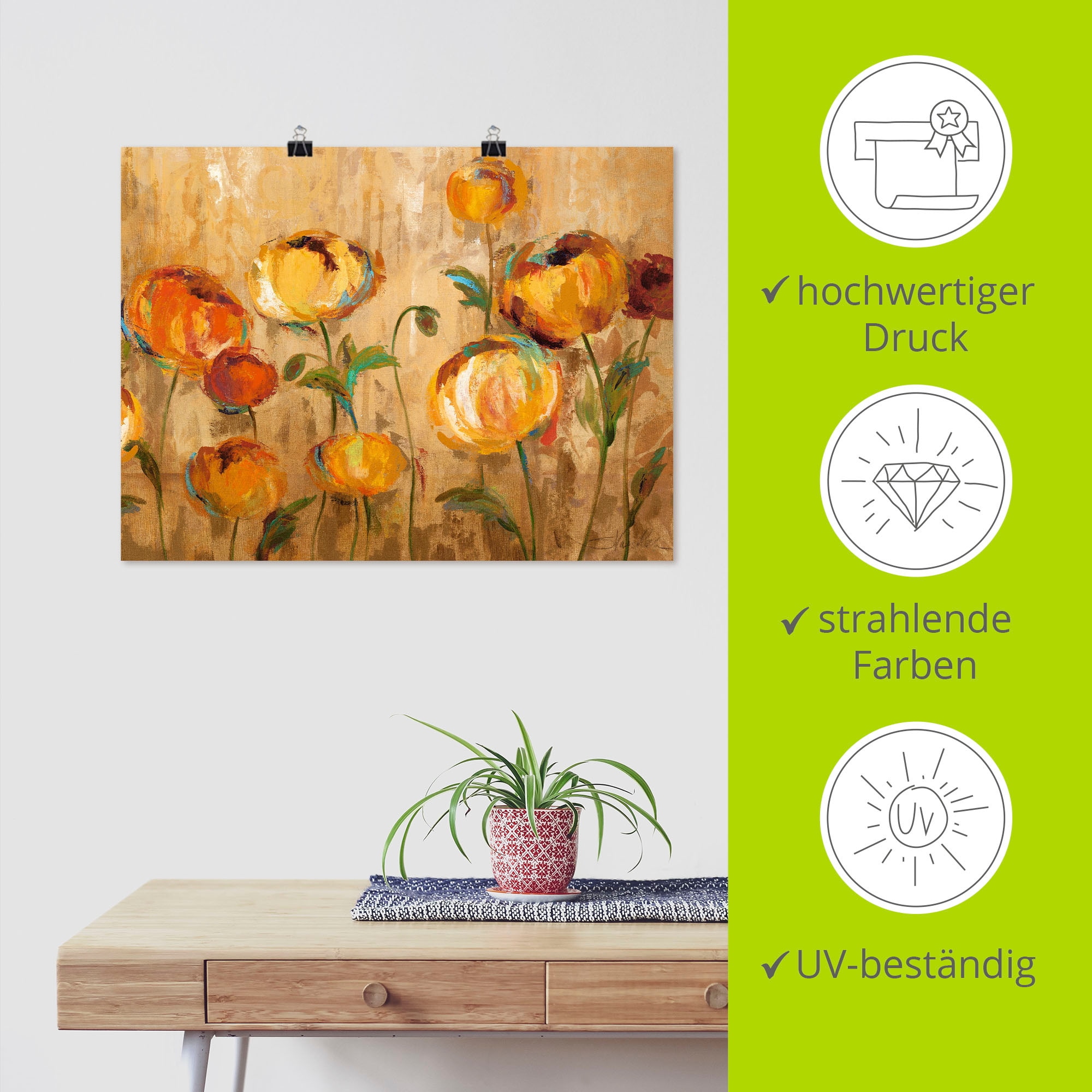 Artland Wandbild »Freudige Ranunkel«, Blumen, (1 St.), als Leinwandbild, Poster in verschied. Größen