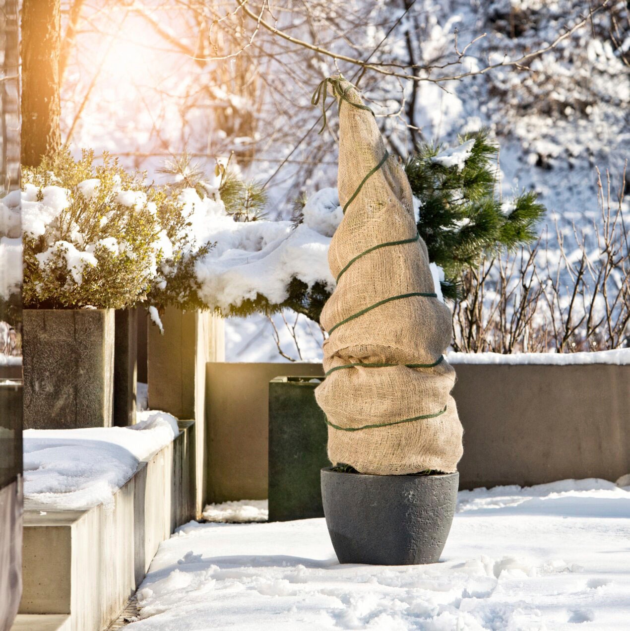 Windhager Winterschutzvlies, aus Jutegewebe, BxL: 100x500 cm günstig online kaufen