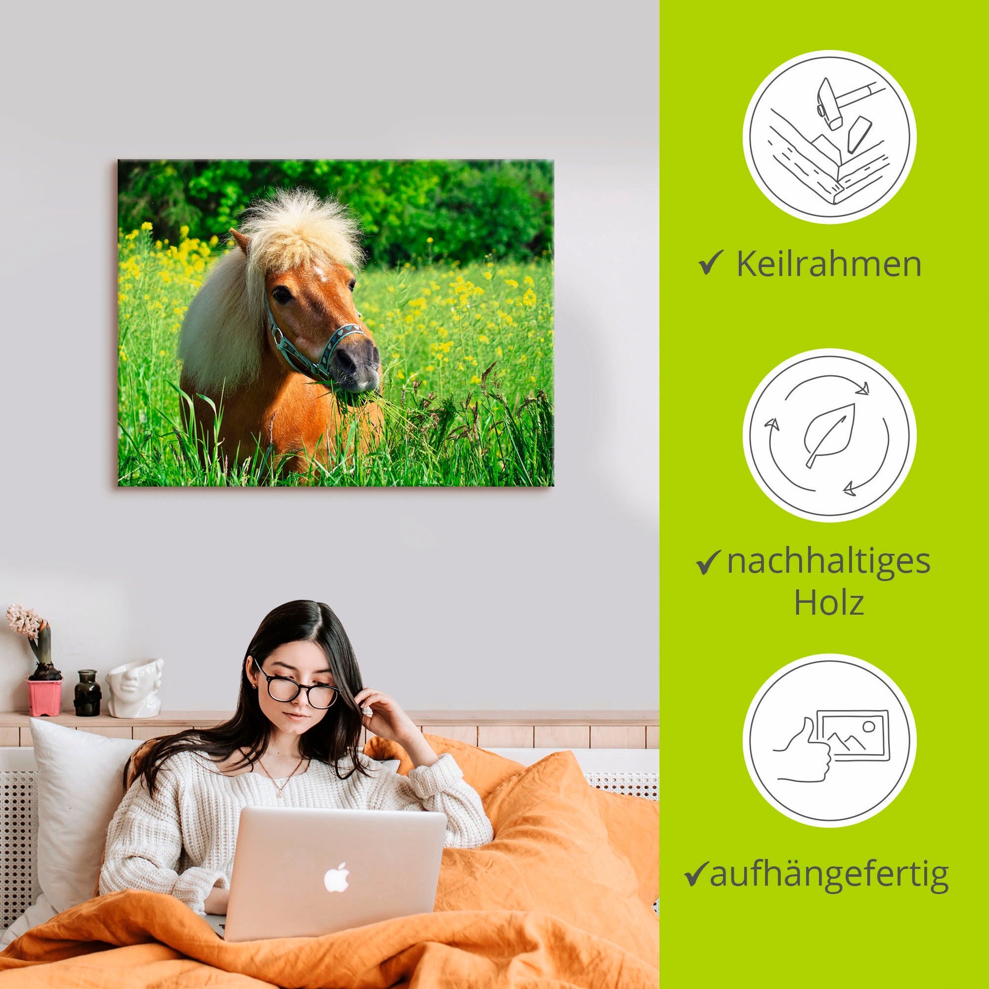 Artland Wandbild »Shetland Pony«, Haustiere, (1 St.), als Leinwandbild, Wandaufkleber in verschied. Größen