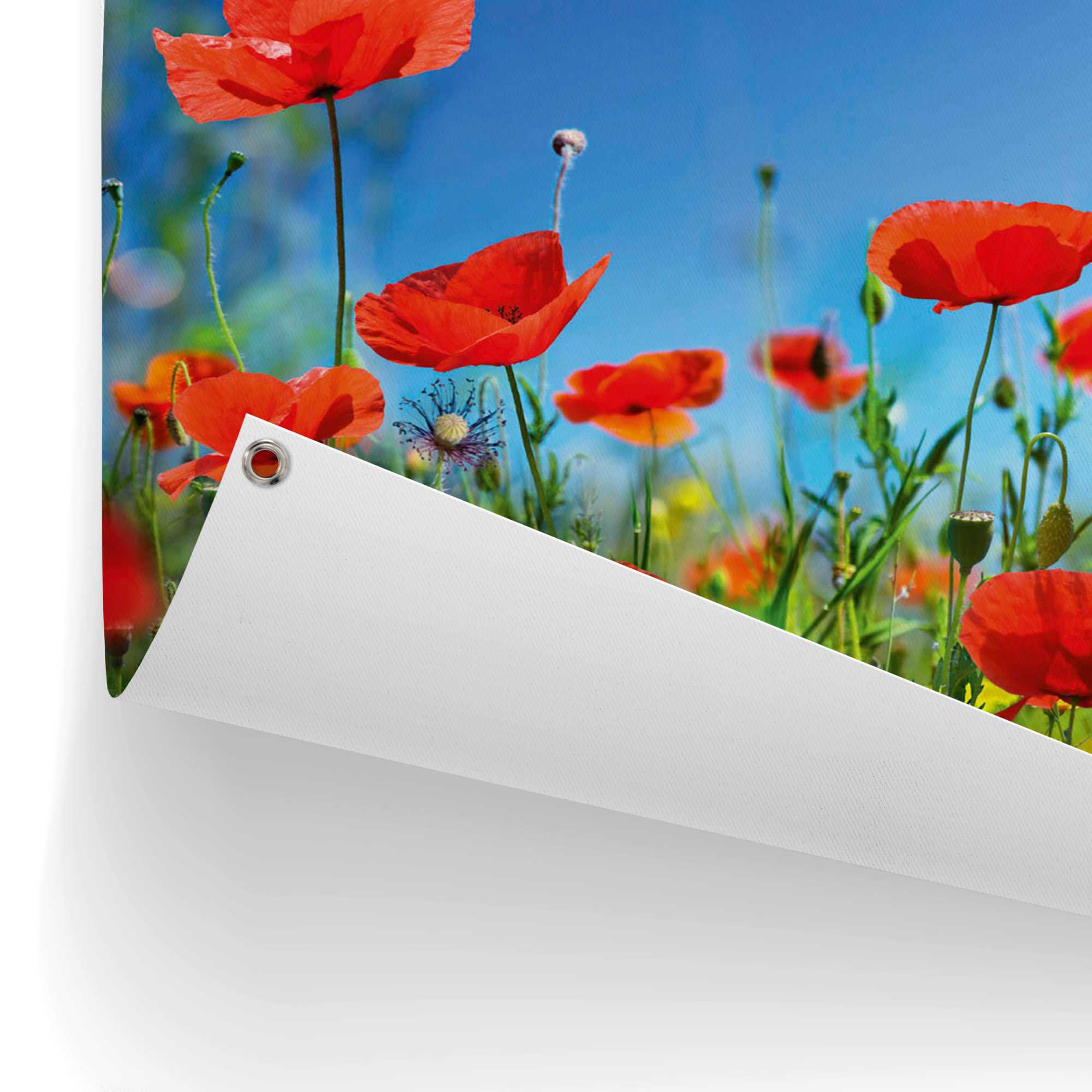 Thumbnail - Reinders Poster "Sommerblumen", Outdoor für Garten oder Balkon