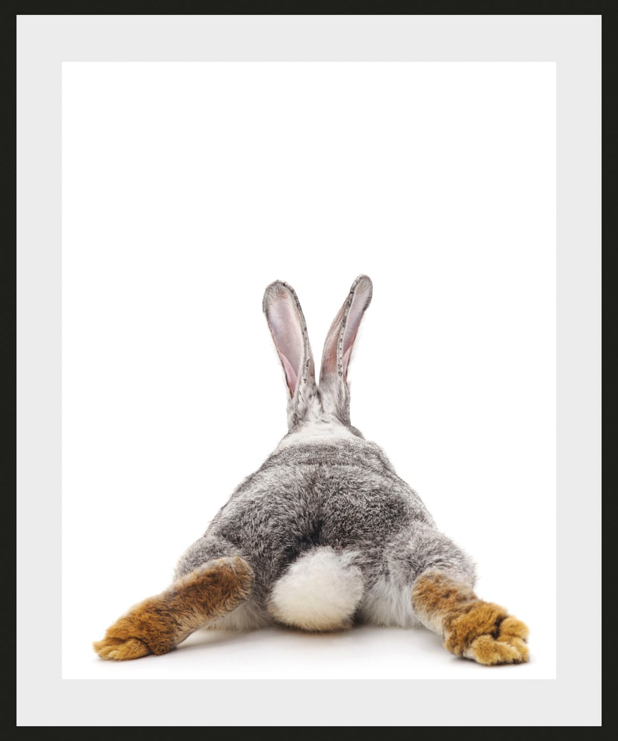 queence Bild »Bunny BAUR | kaufen (1 Tail«, Hase, St.)