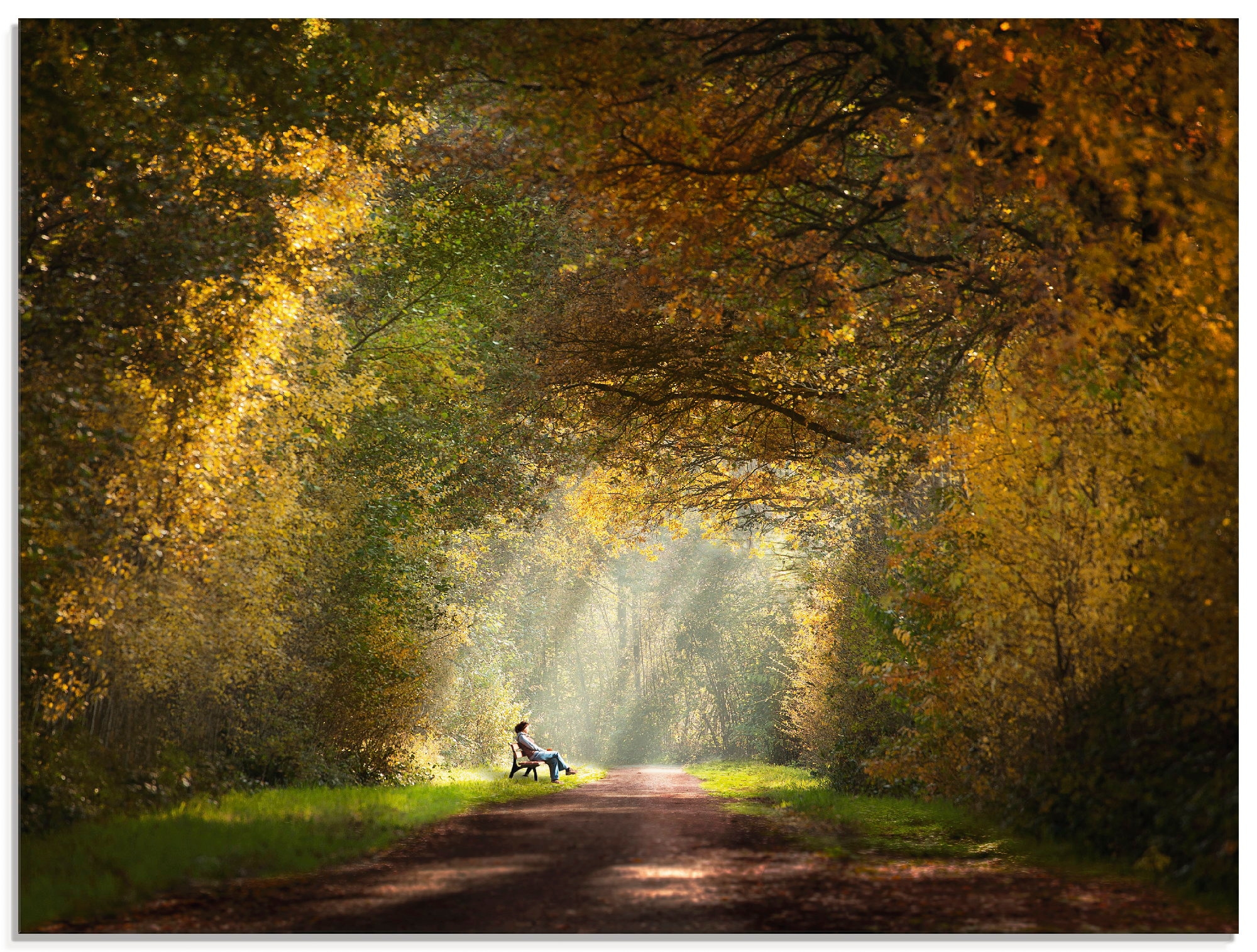 Artland Glasbild »Licht am Ende des Tunnels...«, Wald, (1 St.), in verschiedenen  Größen kaufen | BAUR