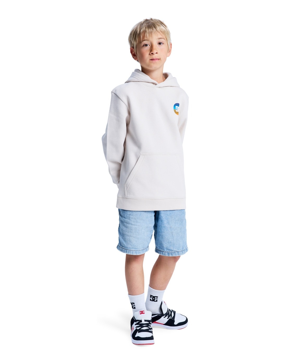 DC Shoes Hoodie »Shape Or Destroy«
