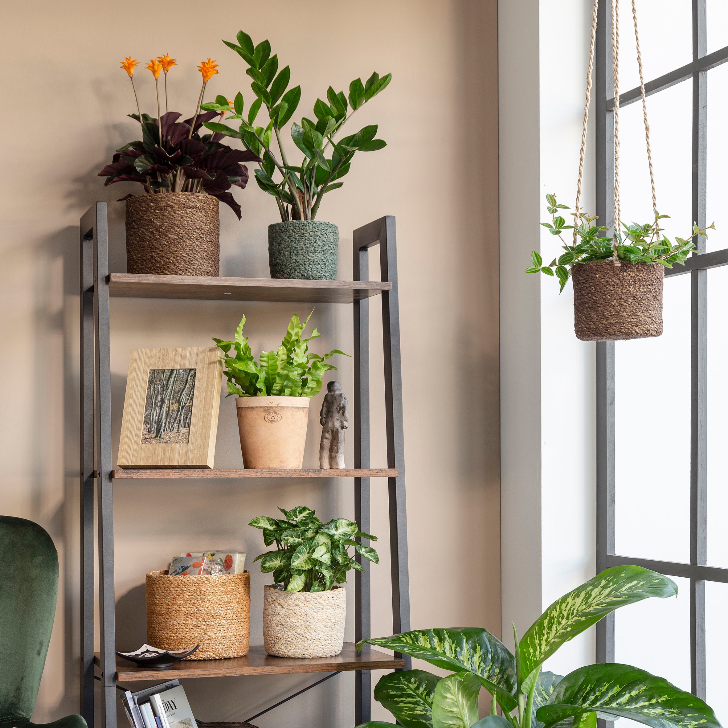 Scheurich Blumentopf »GREEN 19/508«