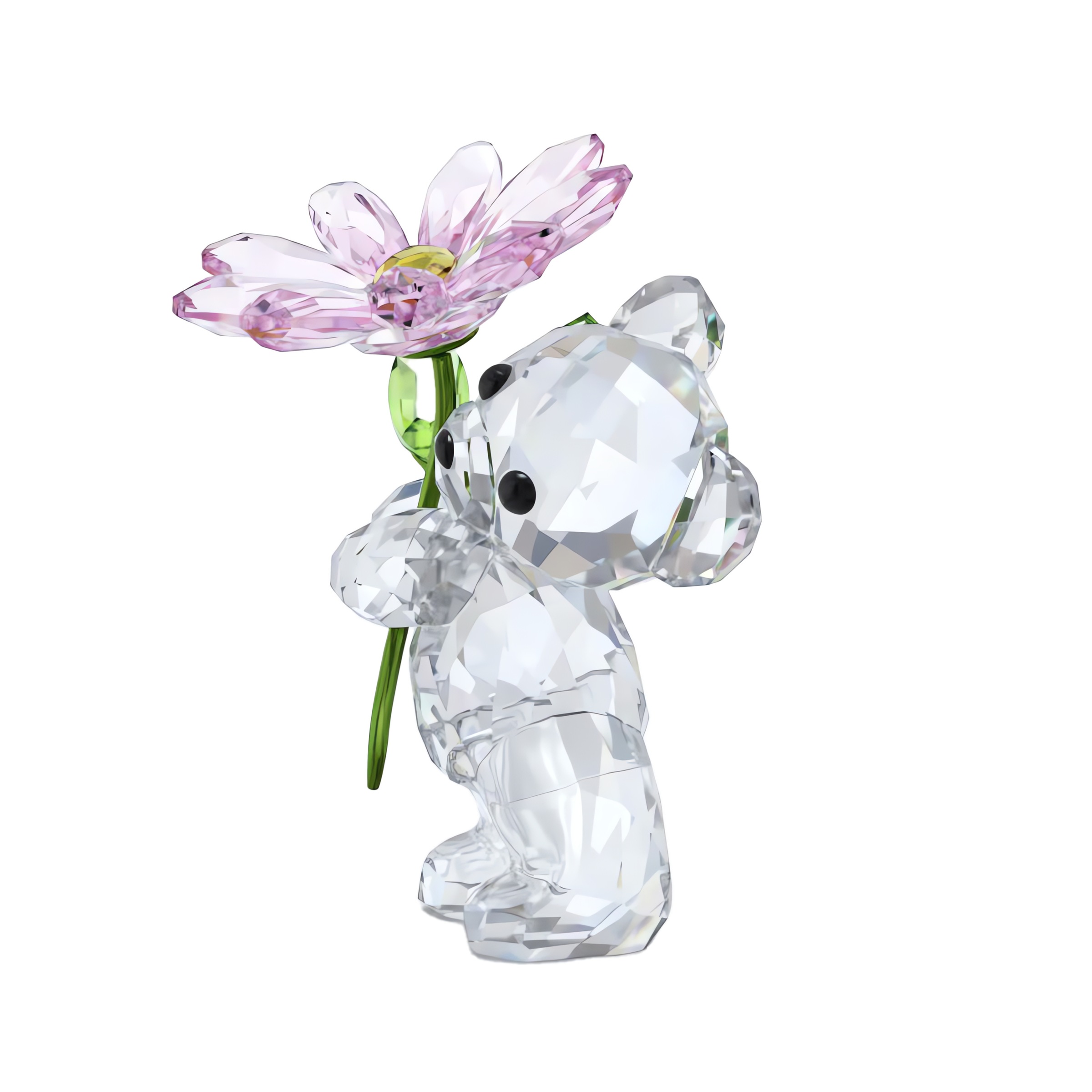 Swarovski Dekofigur »Kristallfigur Sammelfigur Kris Bär Ein Gänseblümchen für Dich« Swarovski® Kristall
