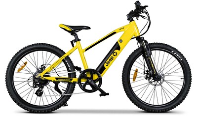 E-Bike »TR 7002«, 7 Gang, Heckmotor 250 W, (mit Akku-Ladegerät)