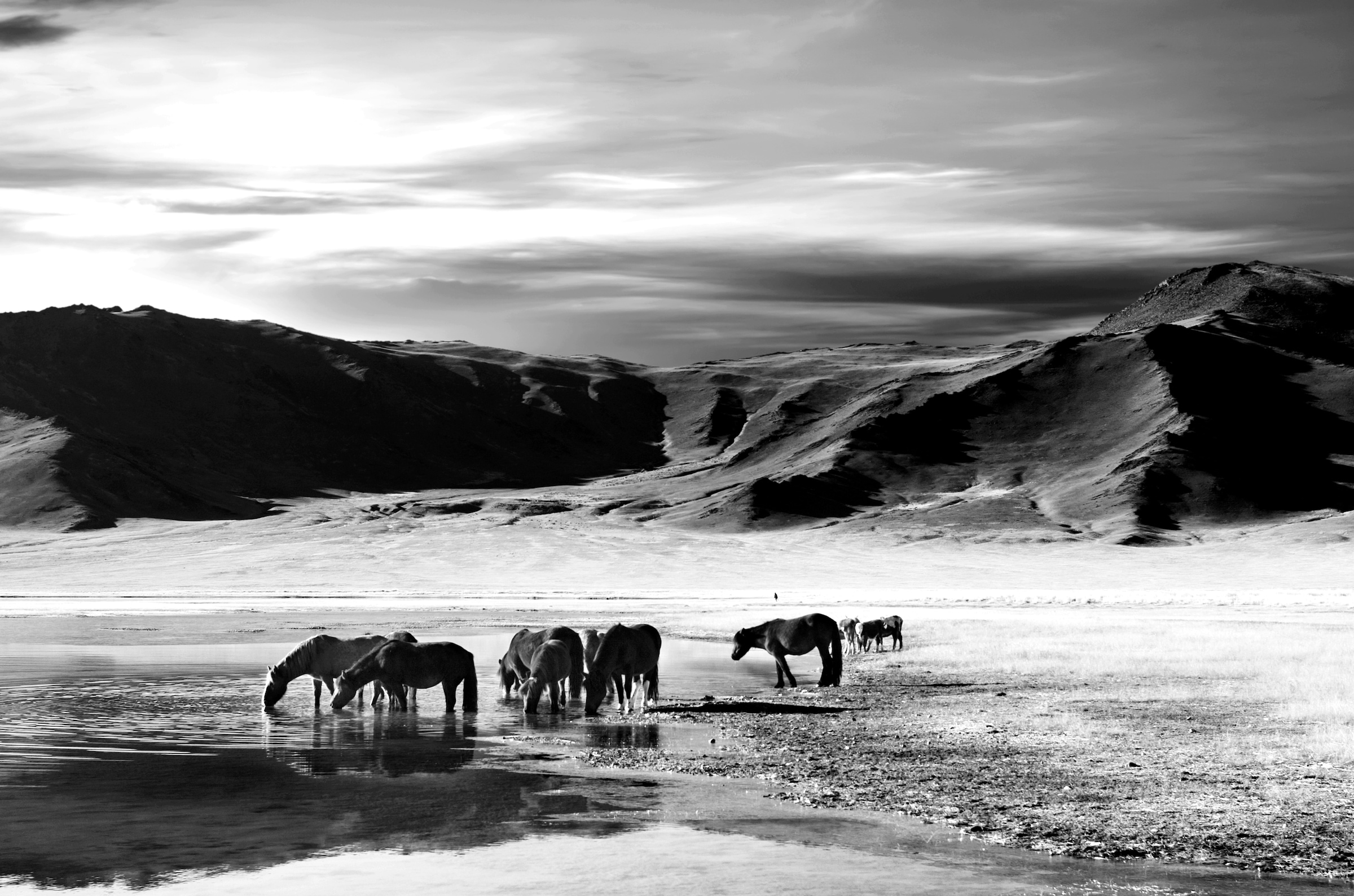 Papermoon Fototapete "Landschaft schwarz & weiß"