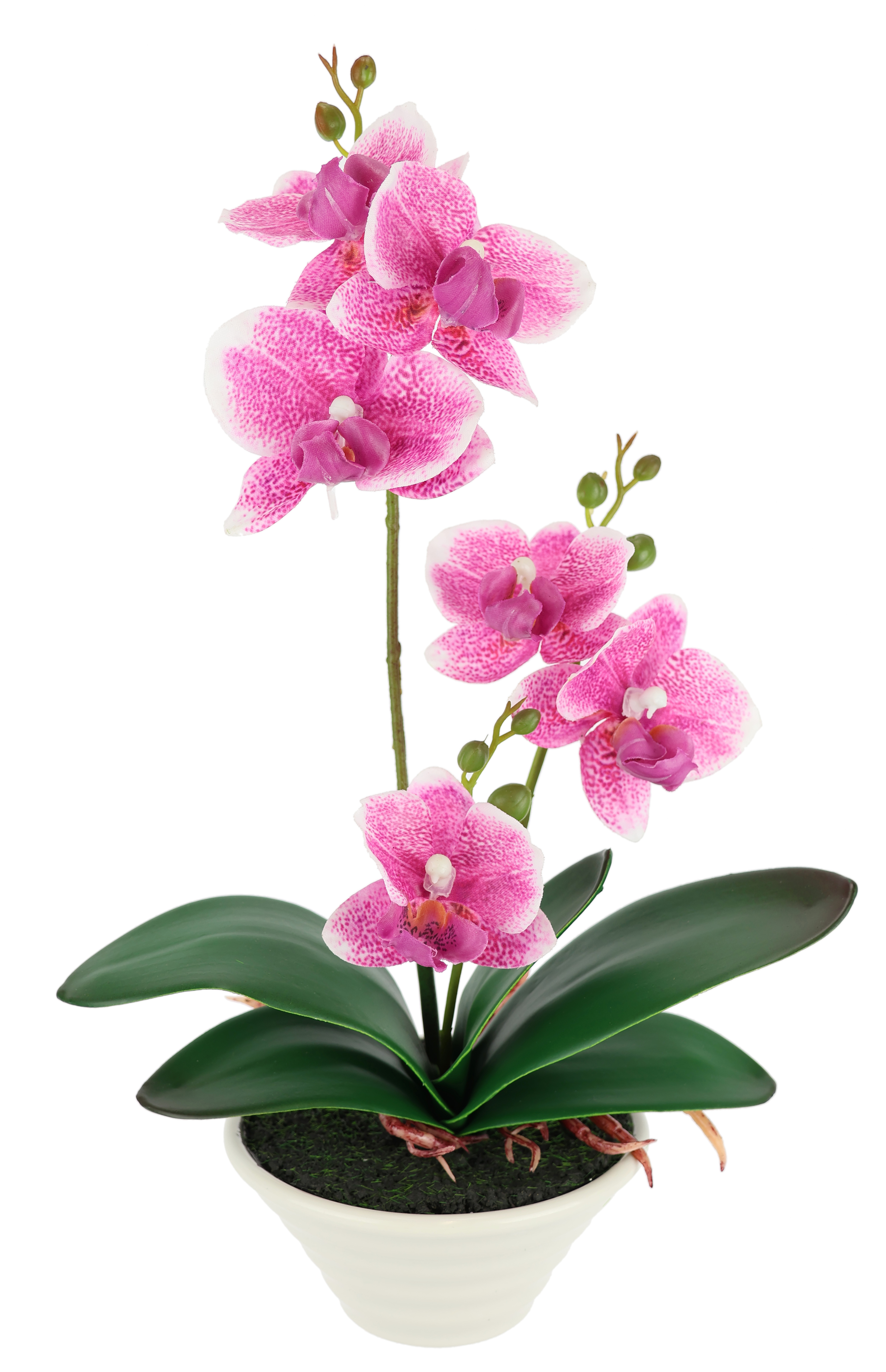 I.GE.A. Kunstblume "Kunstorchidee im Topf" 30cm künstliche Orchidee mit Blüten Phalaenopsis Kunstpflanze Pflanze