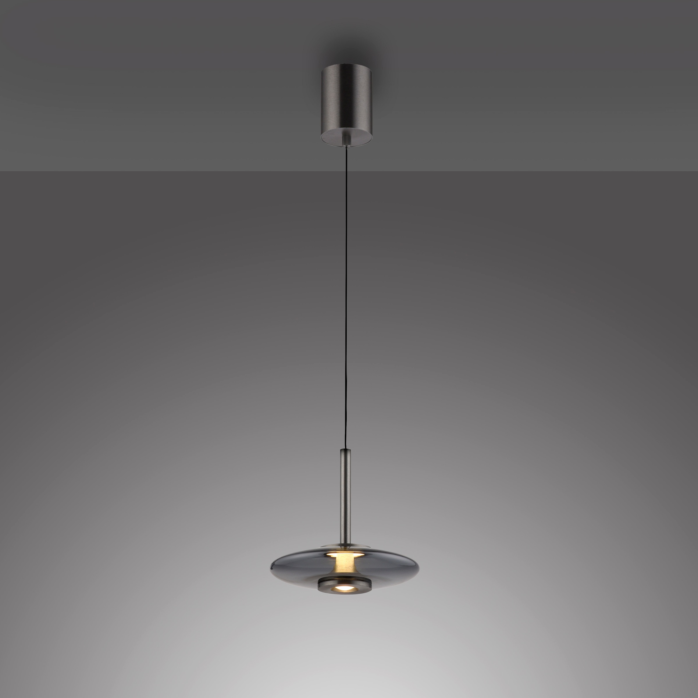 Neuhaus PURE LED Pendelleuchte »PURE Vitrum« LED-Board 1 Stk. Warmweiß Comfort Lift, dimmfähig über separaten Tronicdimmer