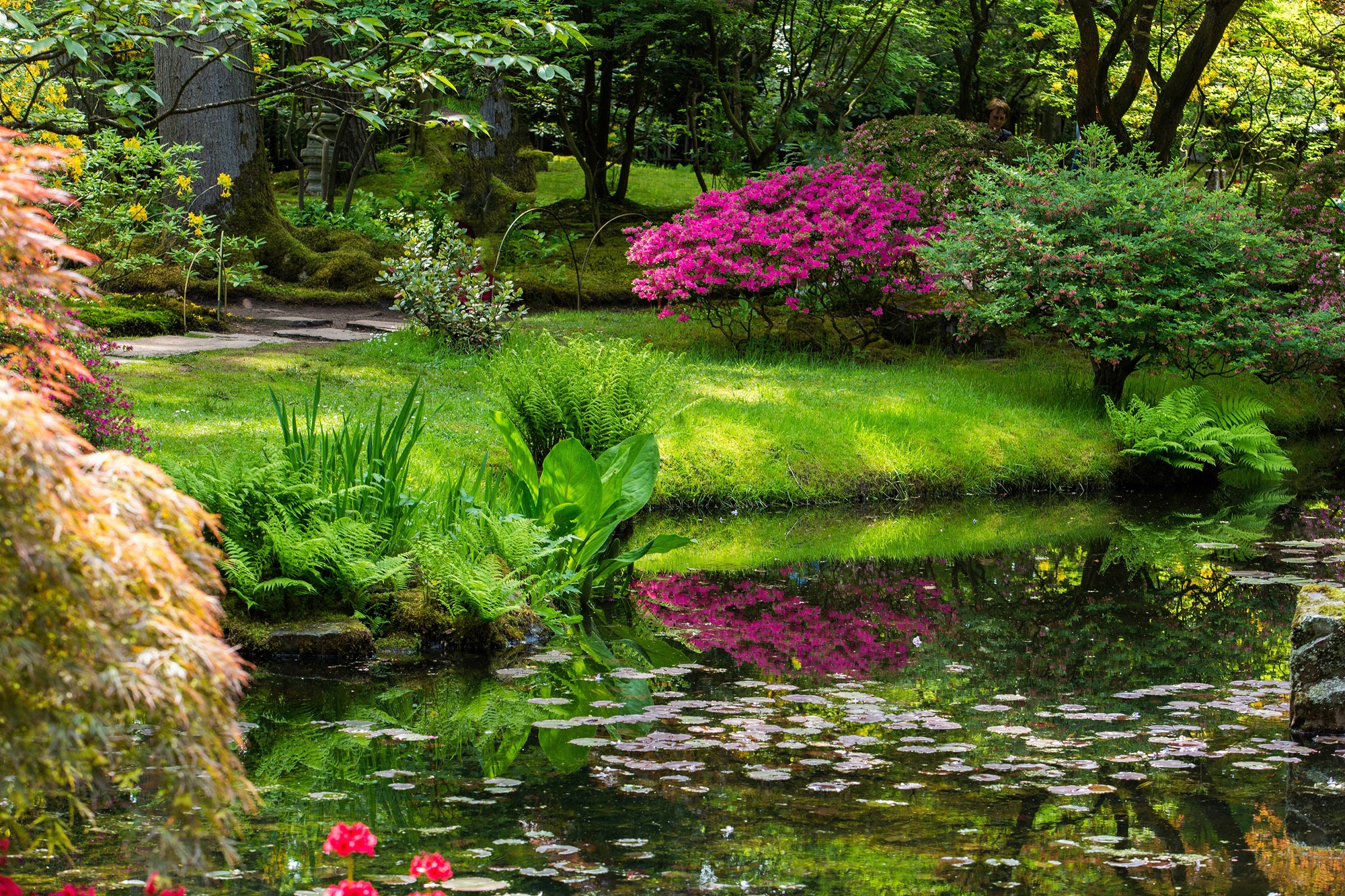 Papermoon Fototapete »GARTEN-BLUMEN BÄUME PFLANZEN STEINE WALD PARK BLÜTEN«