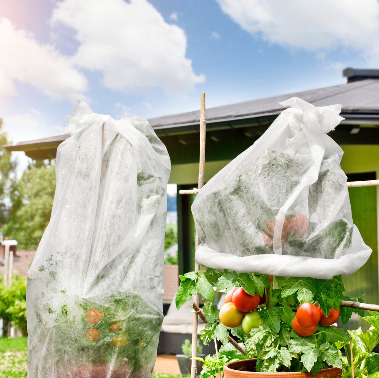 Windhager Winterschutzvlies »Wachstumsvlies«, Tomaten-Vliesschlauch, BxL: 75x1000 cm