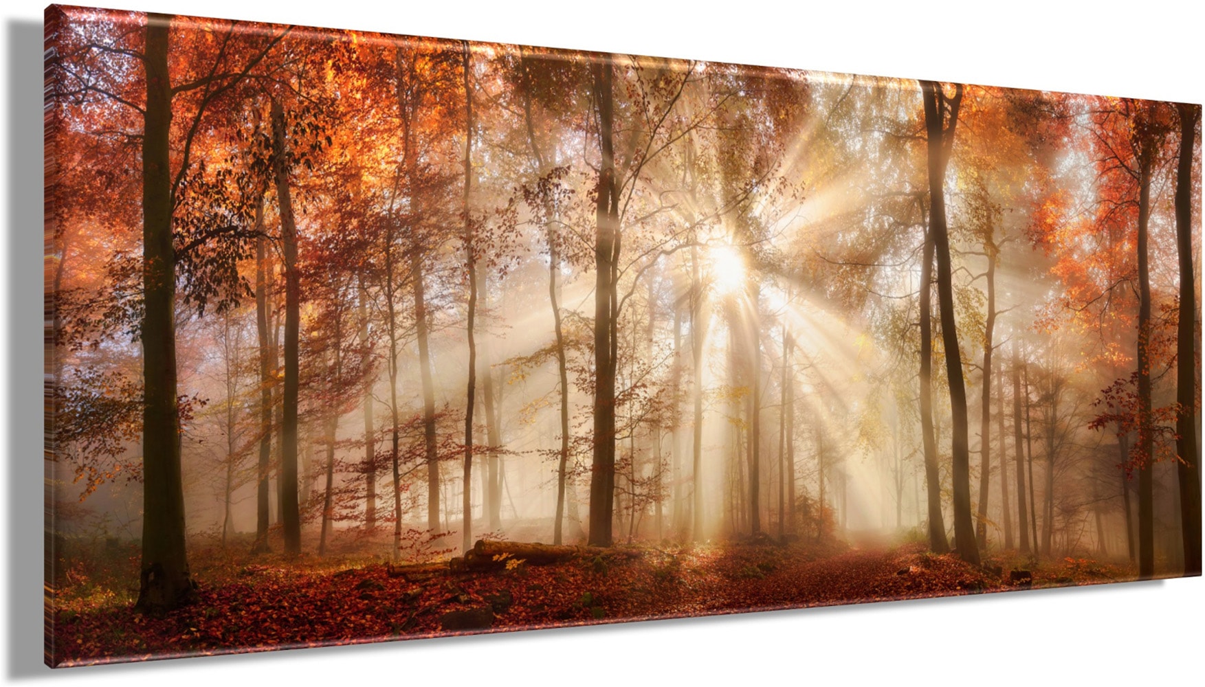Bönninghoff Leinwandbild »Wandbild HERBSTWALD XXL 60x140 cm – Leinwandbild Keilrahmen Deko« Wald 1 Stk. tlg. auf Keilrahmen gespannt